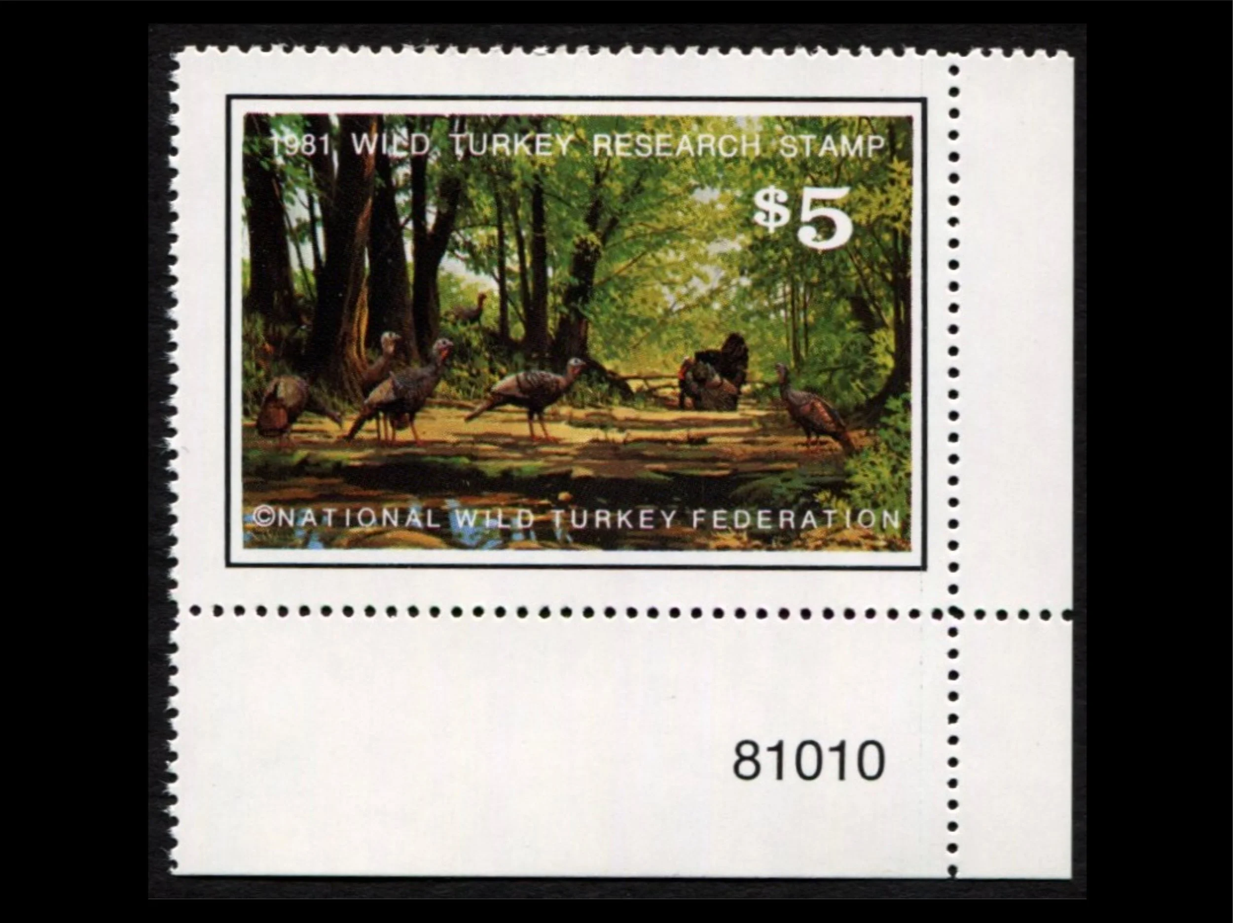 1981 National Wild Turkey Federation