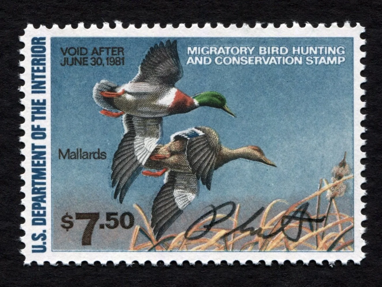RW47 1980-81 Artist-Signed Richard Plasschaert, MNH Duck Stamp