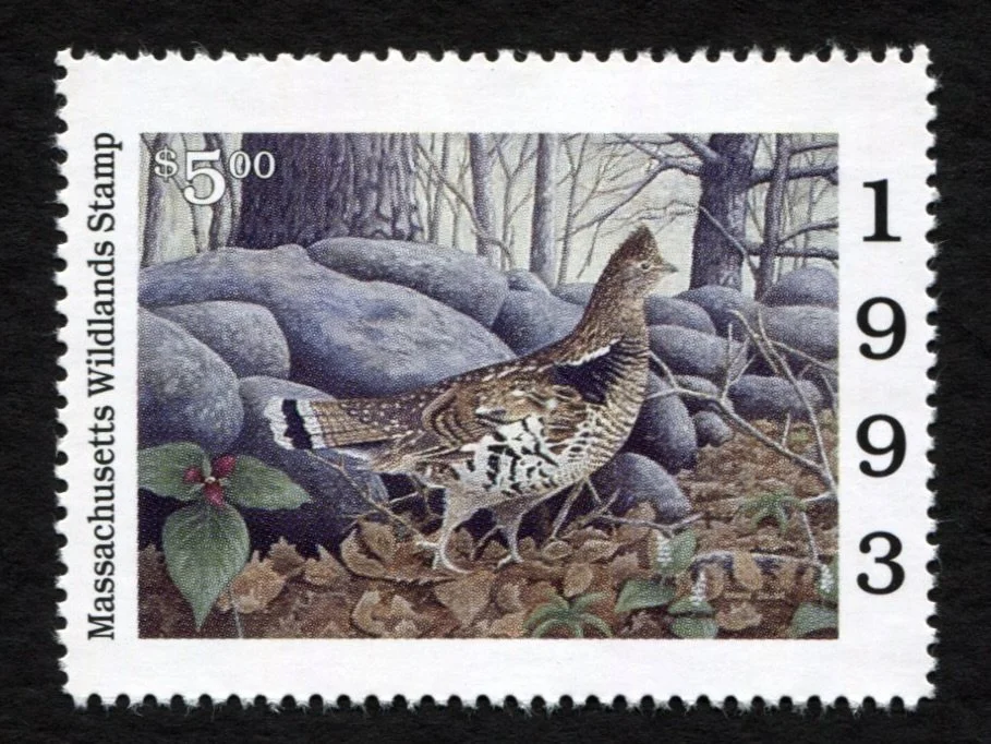 MAWL1 1993 Massachusetts Wildlands Duck Stamp