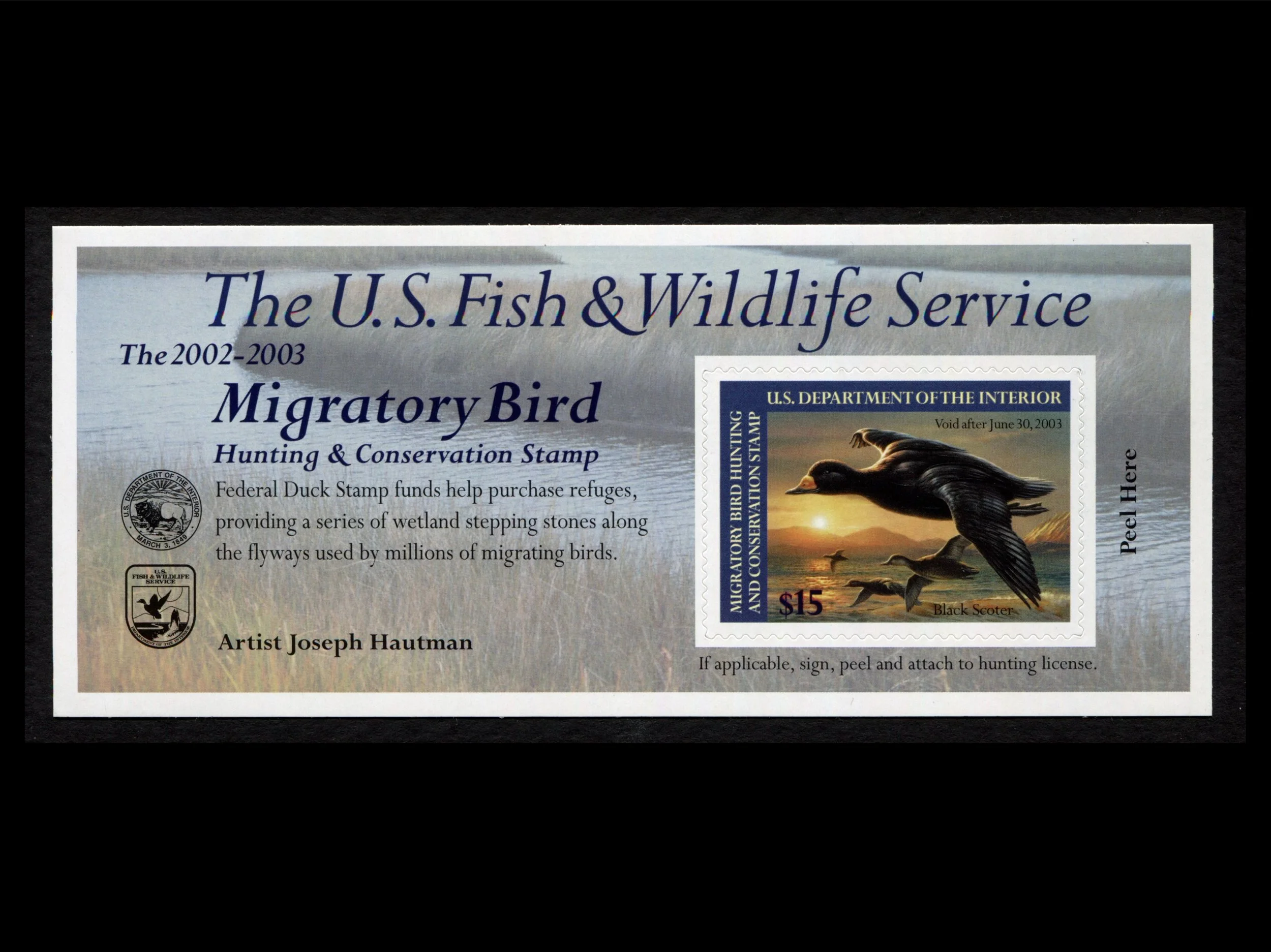 RW69A 2002-03 Black Scoters, Mint Self-Adhesive Duck Stamp