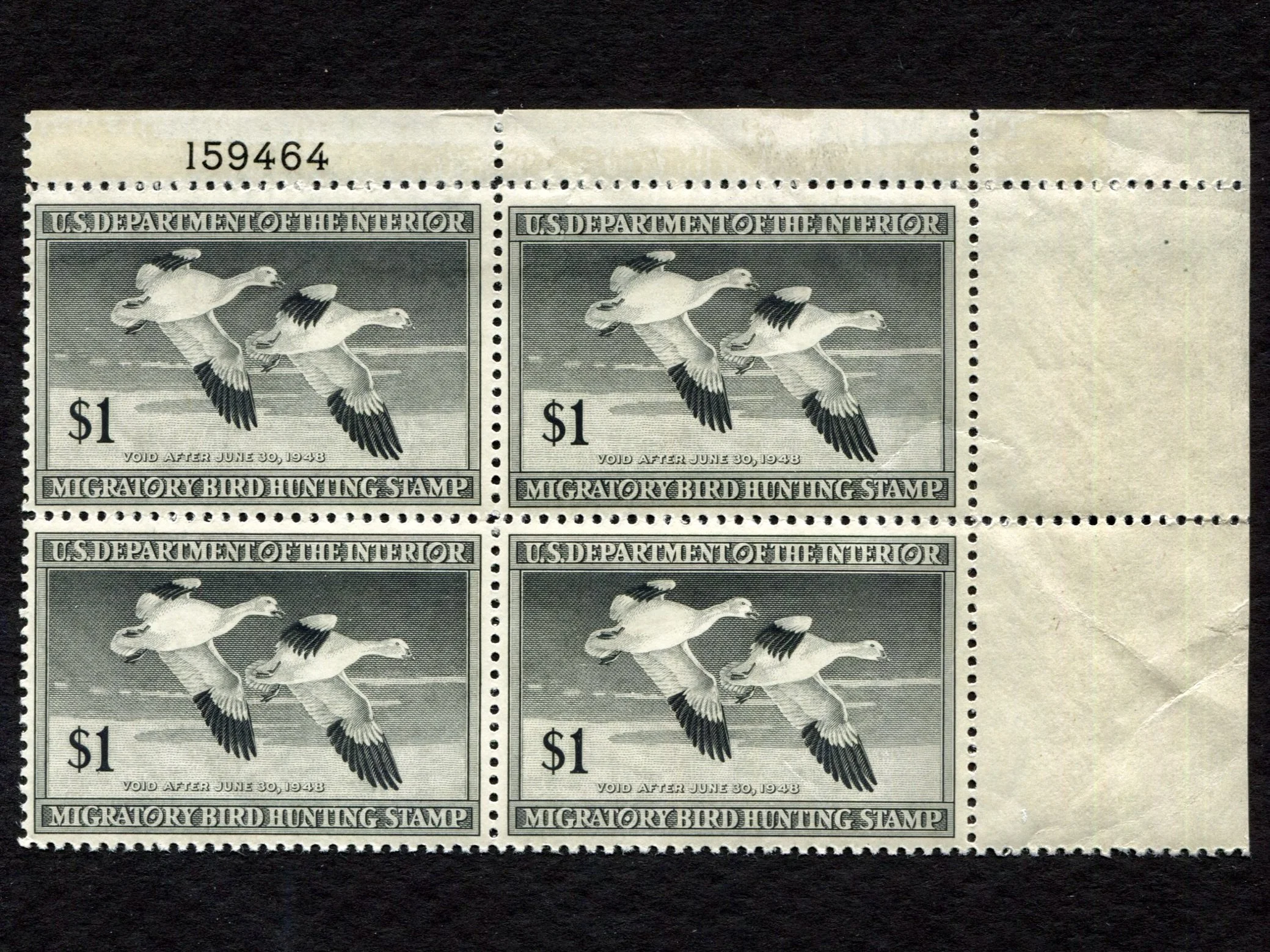 50180-80-91a.jpg