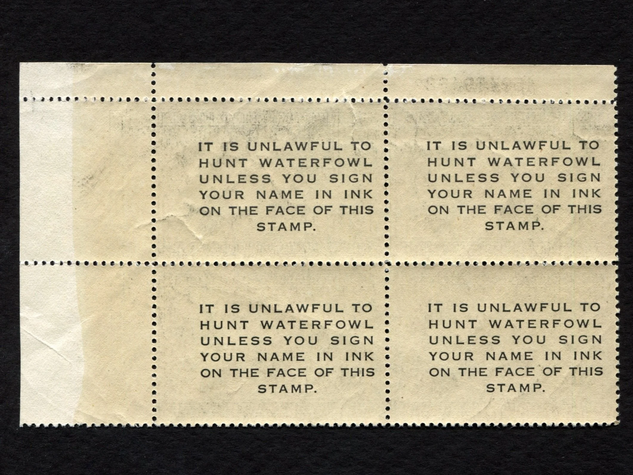 50180-80-91b.jpg