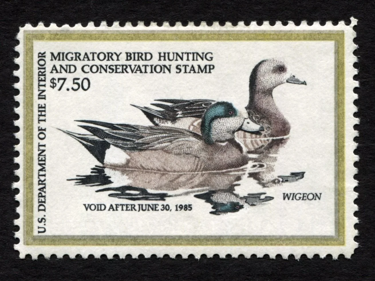 RW51 ERROR No Blue Color MNH 1984 Wigeon AS-IS