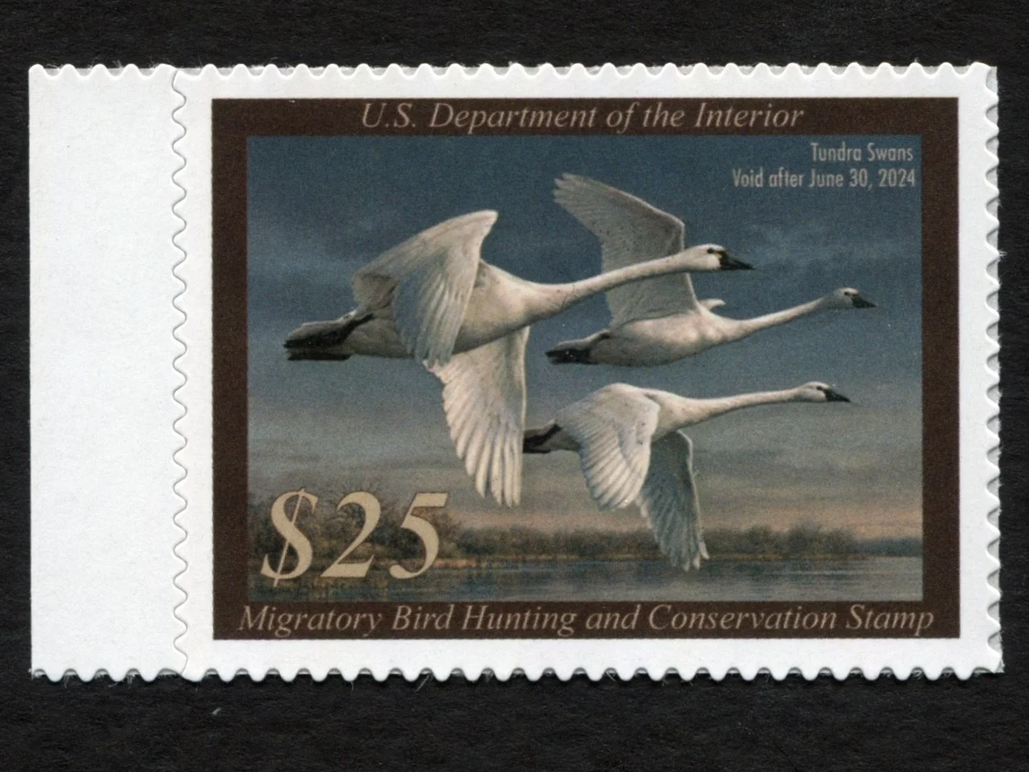 RW90 2023-24 Tundra Swans Mint VF-XF Duck Stamp w/Selvage