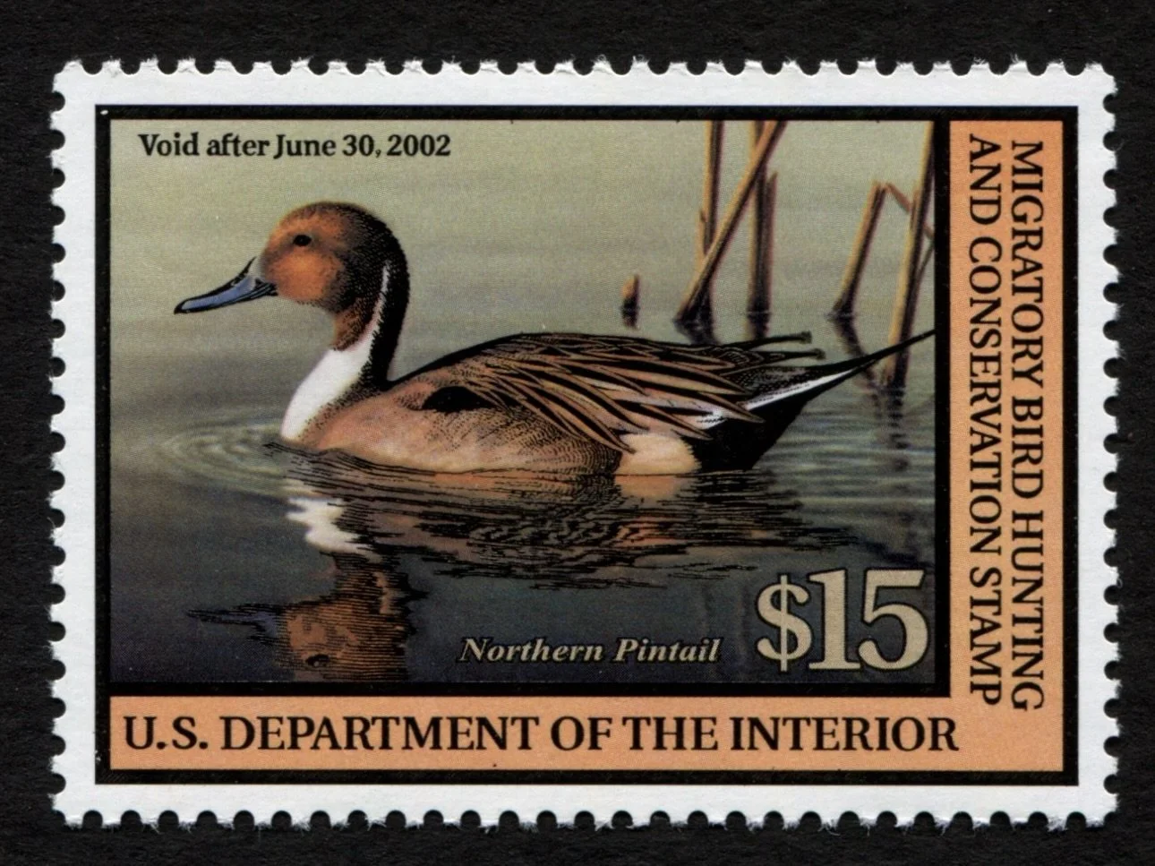 RW68 2001-02 Northern Pintail, Mint VF-XF Duck Stamp