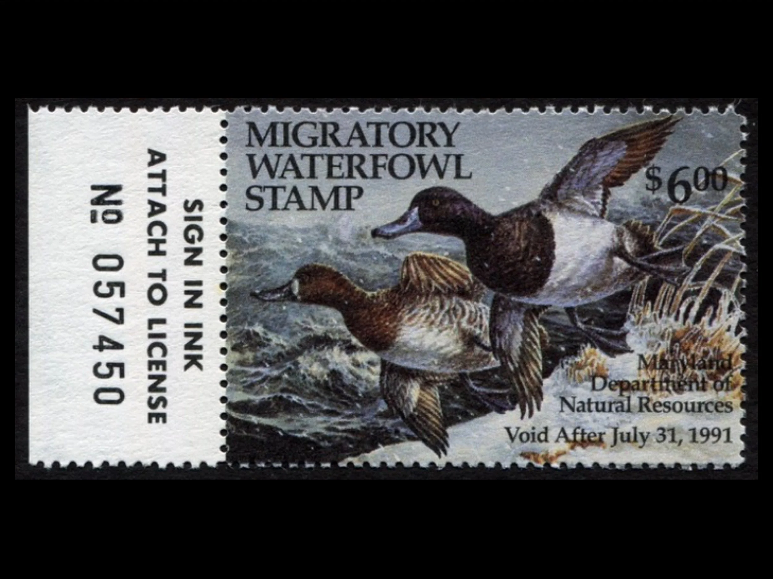 MD17 Maryland 1990 Greater Scaup Duck Stamp, MNH