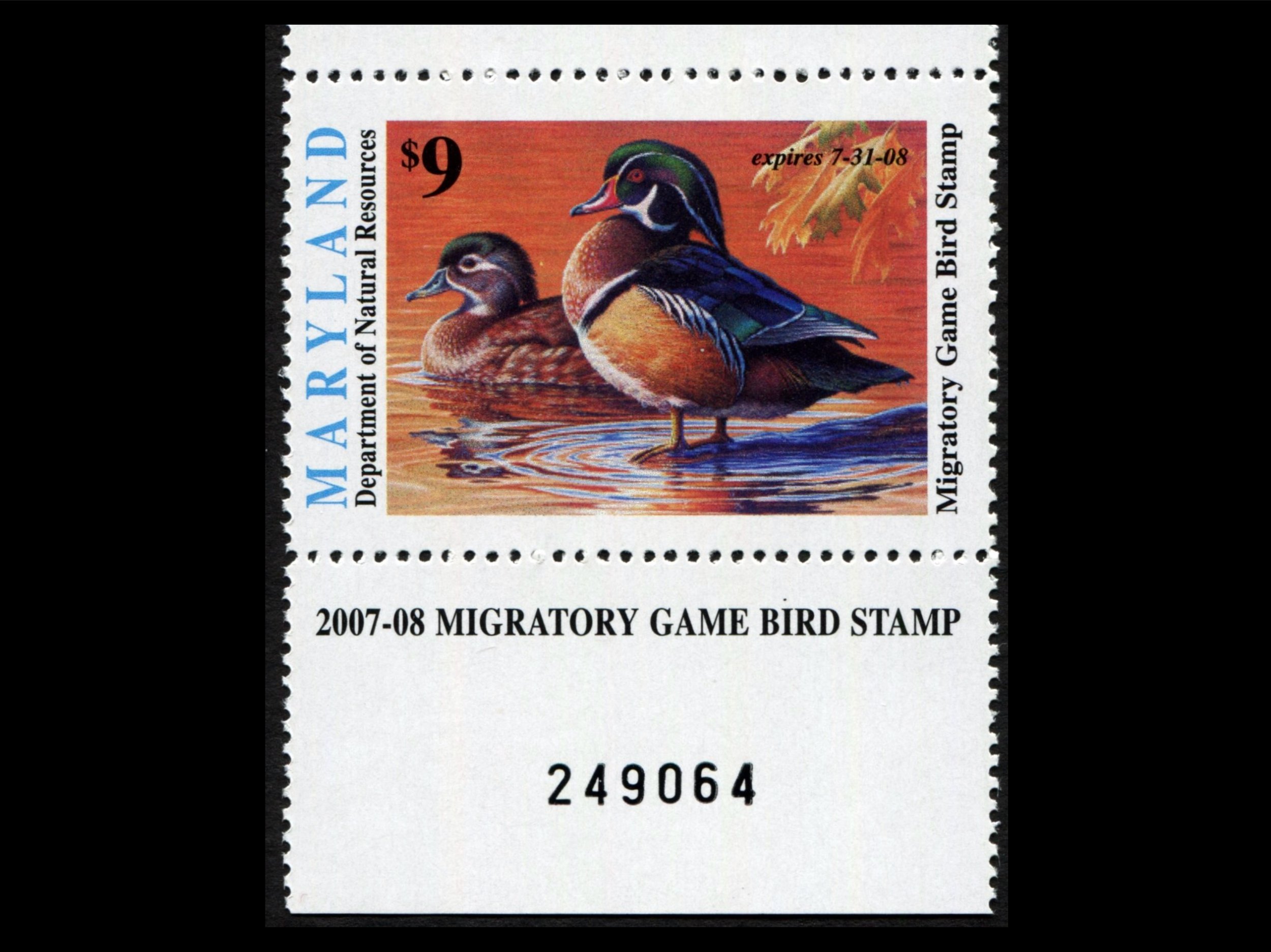 MD34 Maryland 2007-08 Wood Ducks, Game Bird Stamp