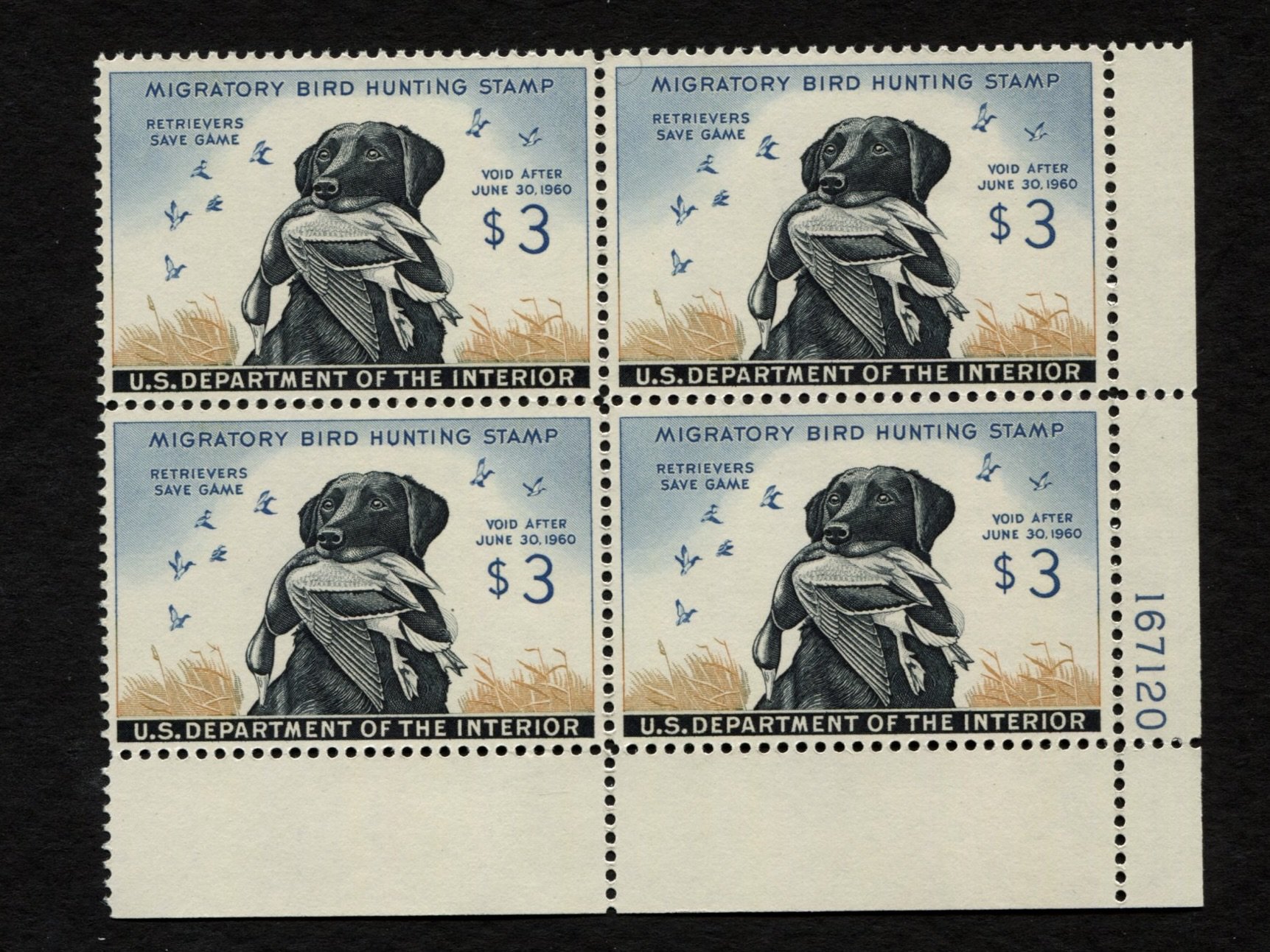 31975.jpg