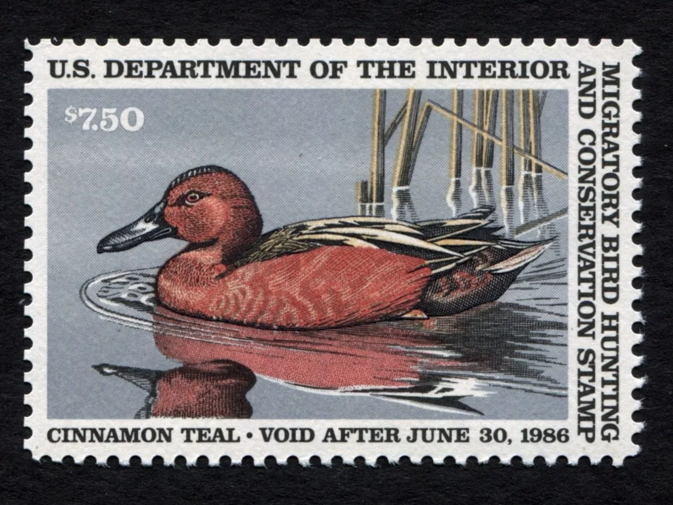 RW52 1985-86 Cinnamon Teal, MNH XF Duck Stamp