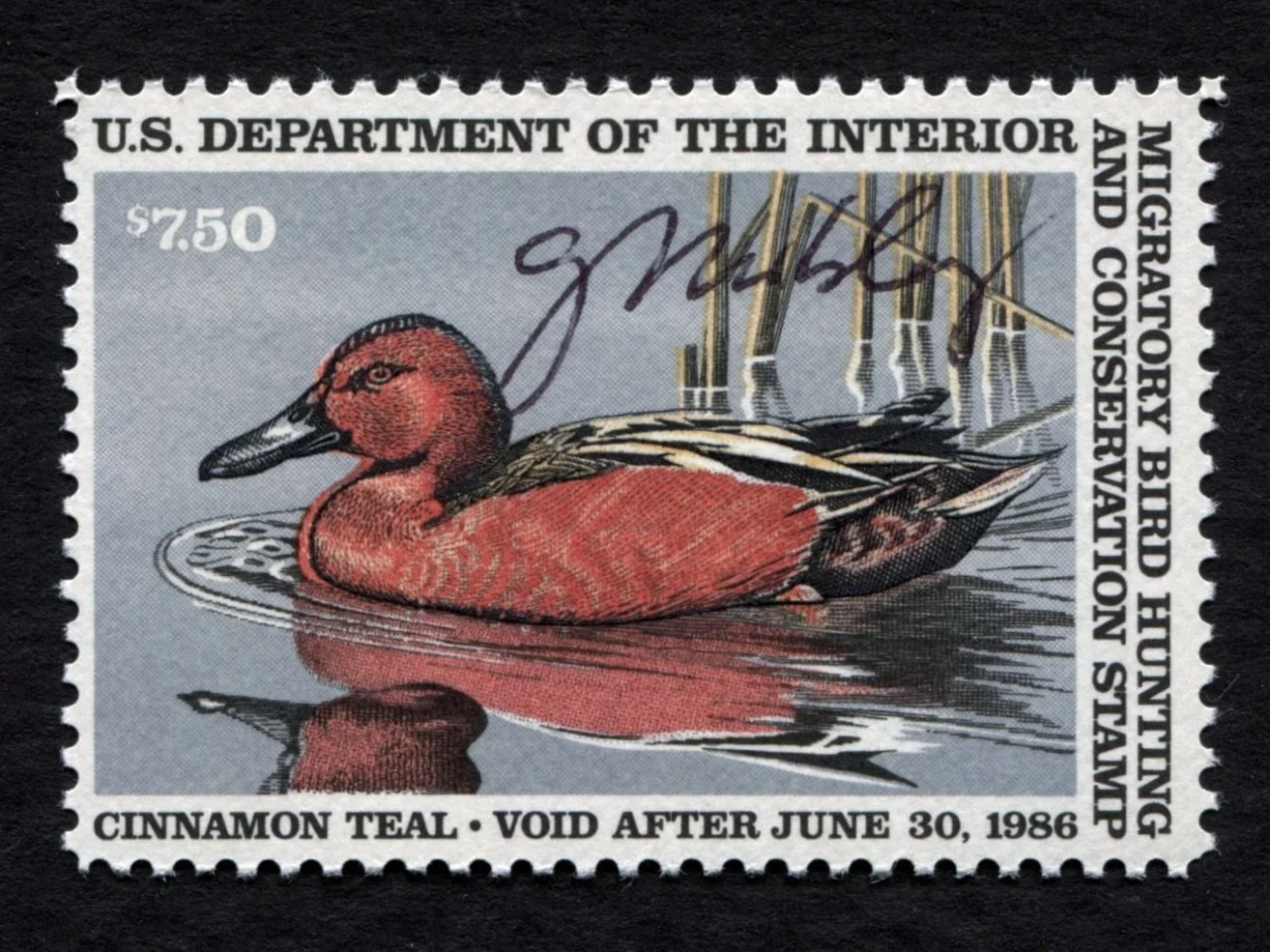 RW52 1985-86 Cinnamon Teal, MNH Artist-Signed by Gerald Mobley Duck Stamp (Copy)