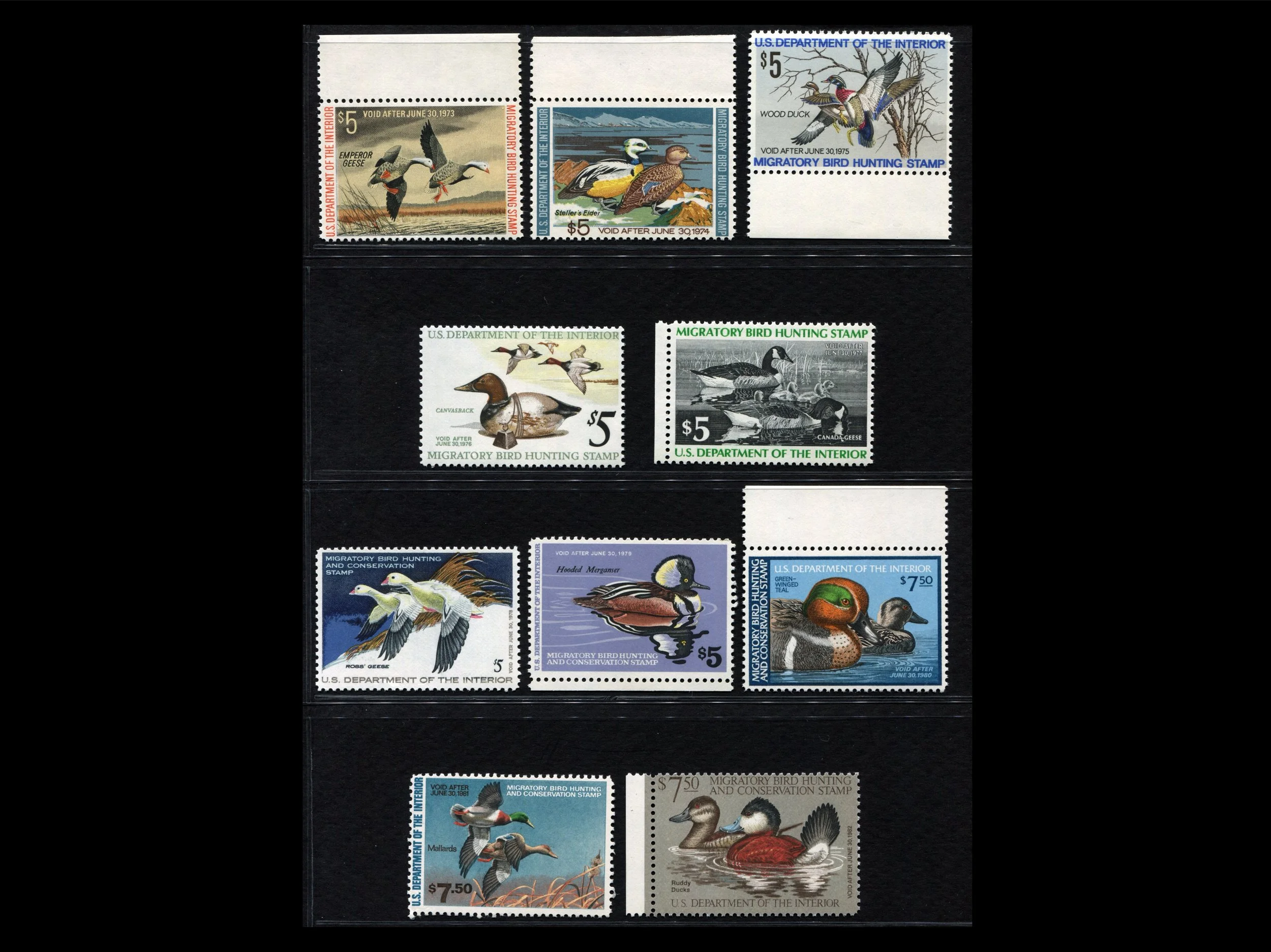 Set of 10 MINT RW39 - RW48 MNH 1972 - 1981 Federal Duck Stamps