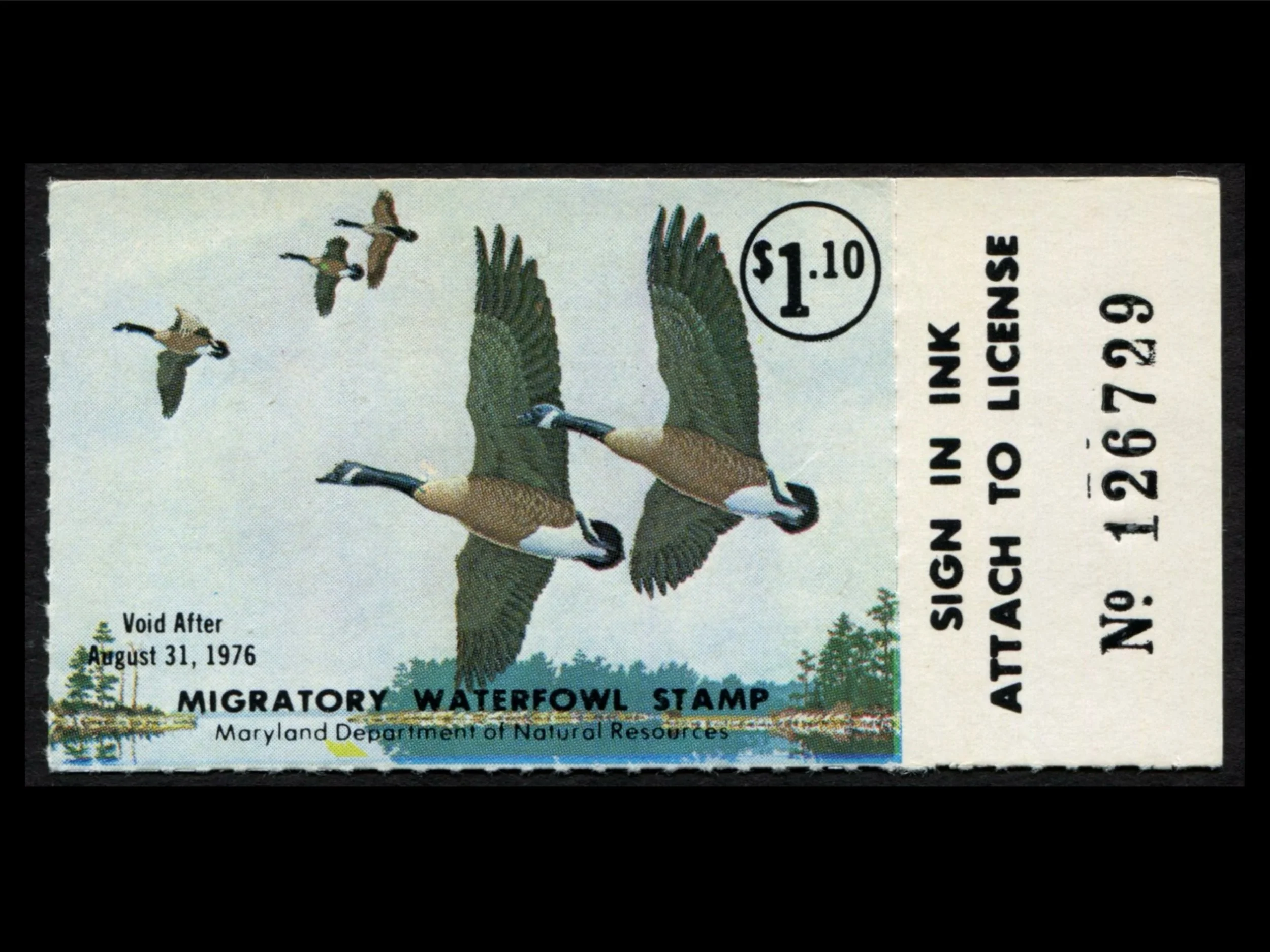 MD2 Maryland 1975 Canada Geese, MNH