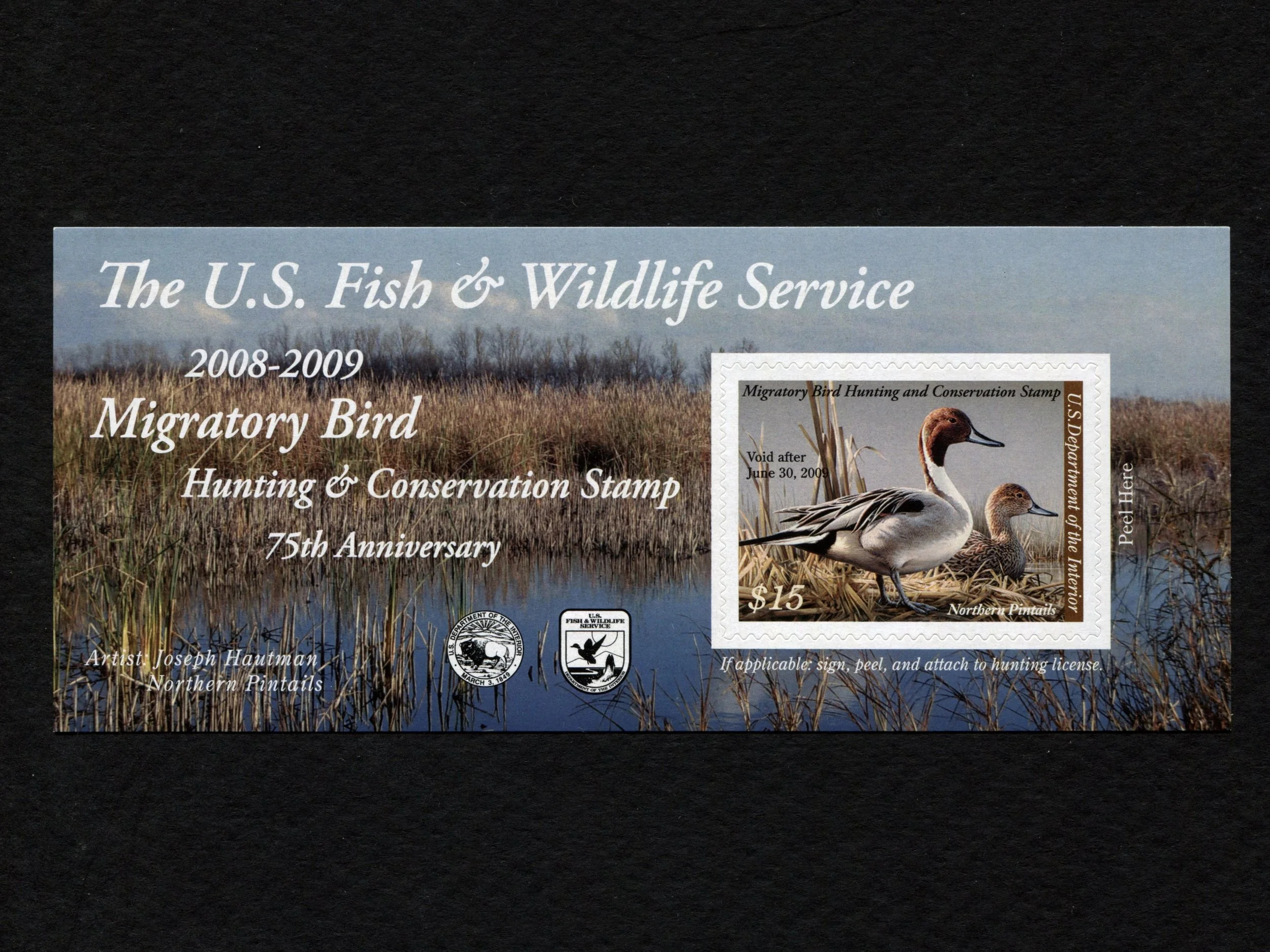 RW78A 2011-12 White-Fronted Geese, Self-Adhesive Duck Stamp