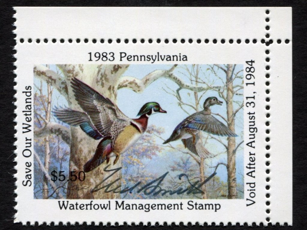 32005.jpg
