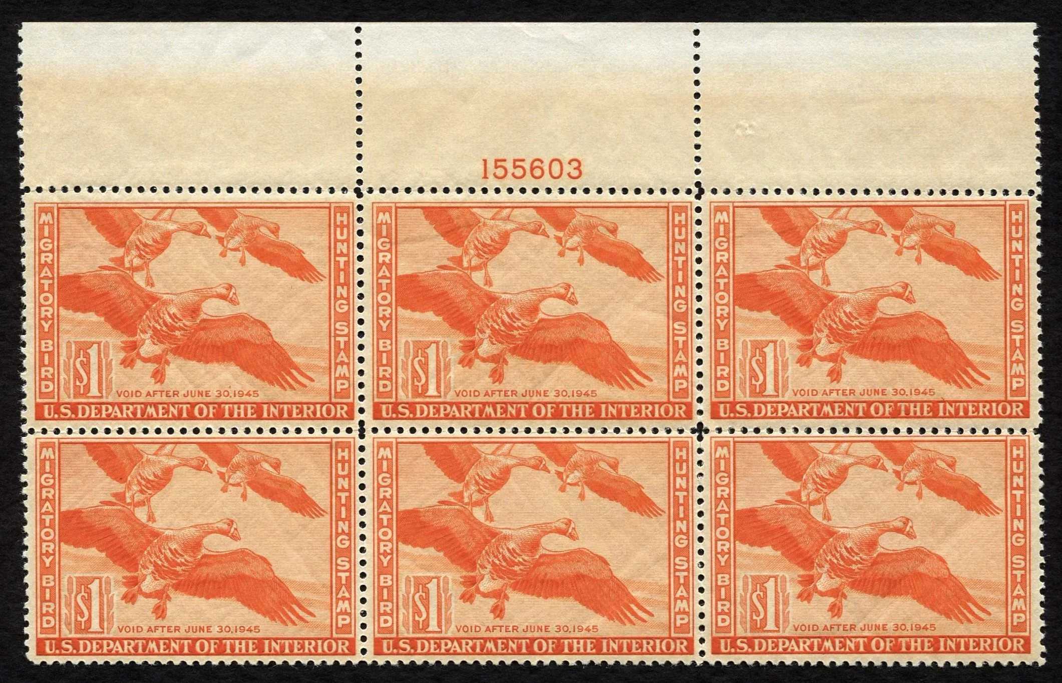 189.jpg.webp