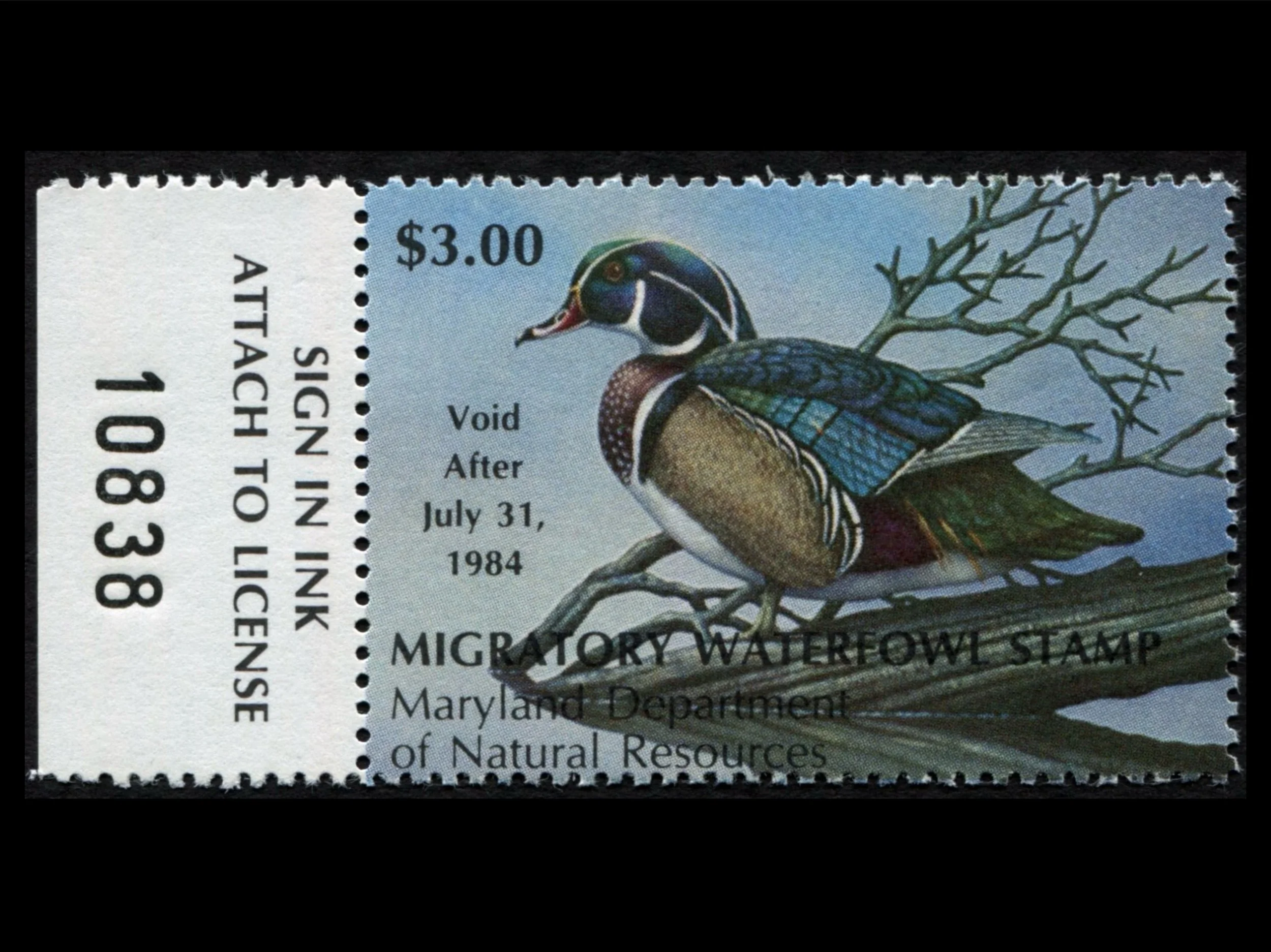 MD10 Maryland 1983 Wood Duck Duck Stamp, MNH