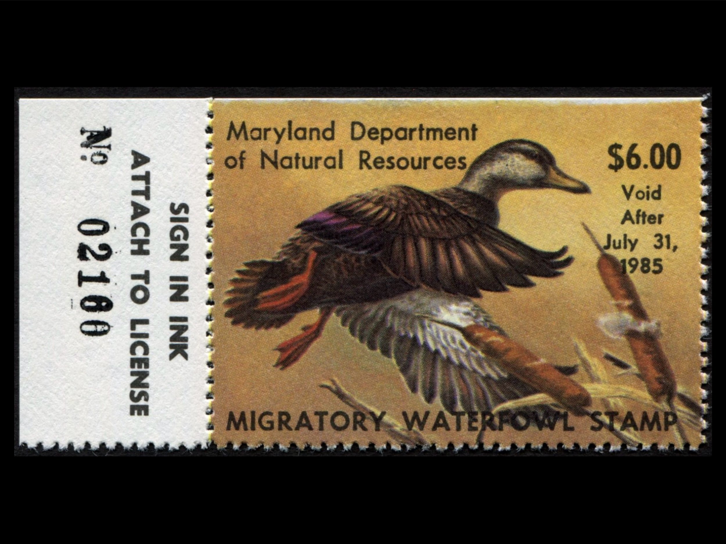 MD11 Maryland 1984 Black Duck  Stamp, MNH