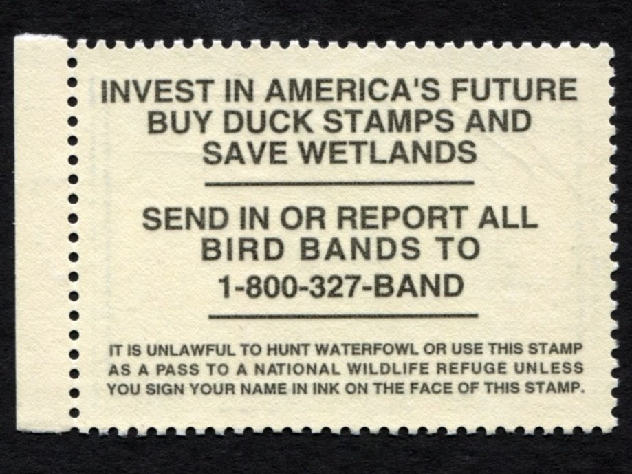 31845.jpg