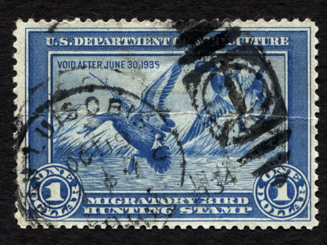 RW1 1934-35 Mallards, Used Unsigned FAULTS Duck Stamp, Postal Cancels