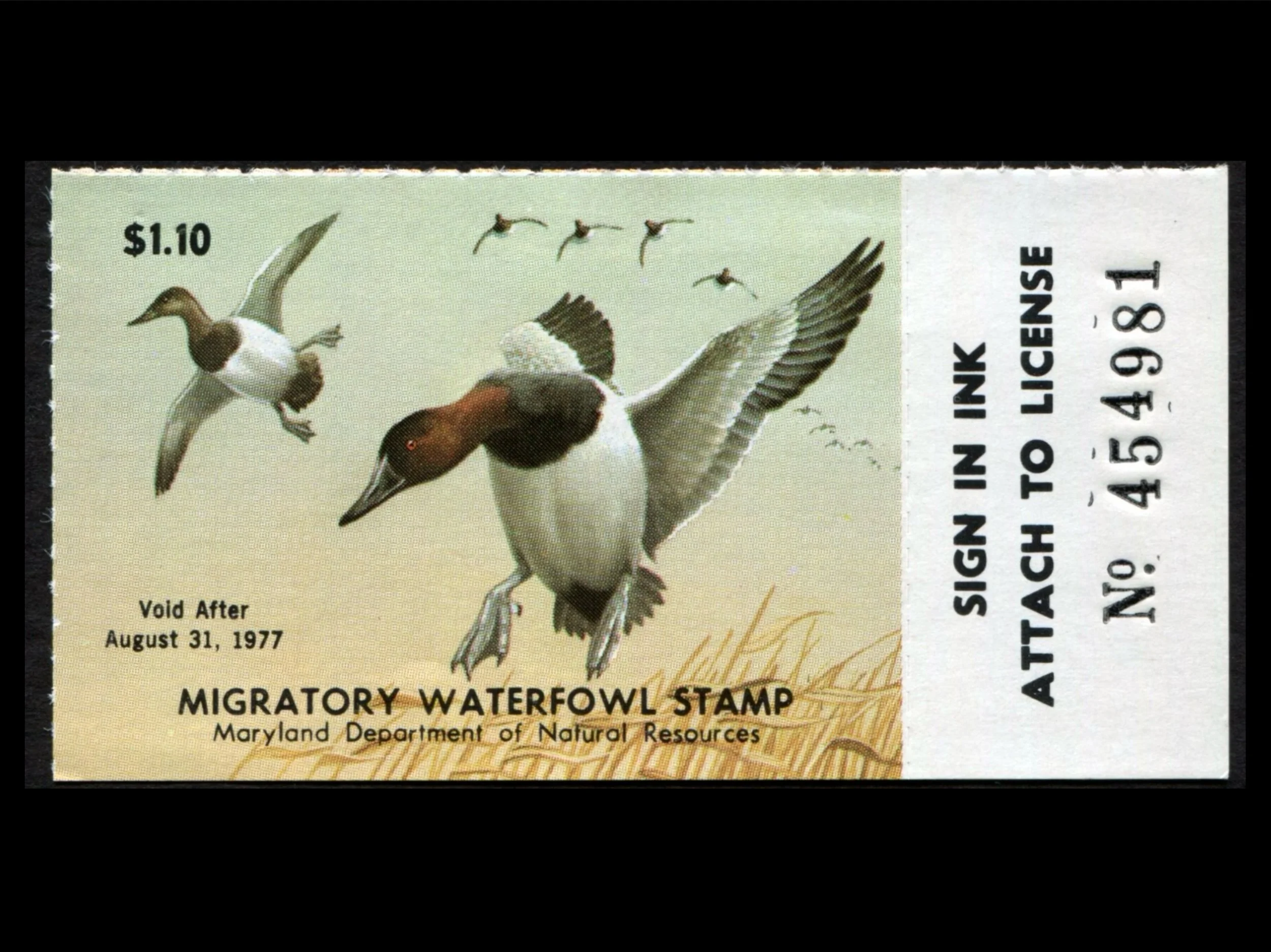MD3 Maryland 1976 Canvasbacks Duck Stamp, MNH