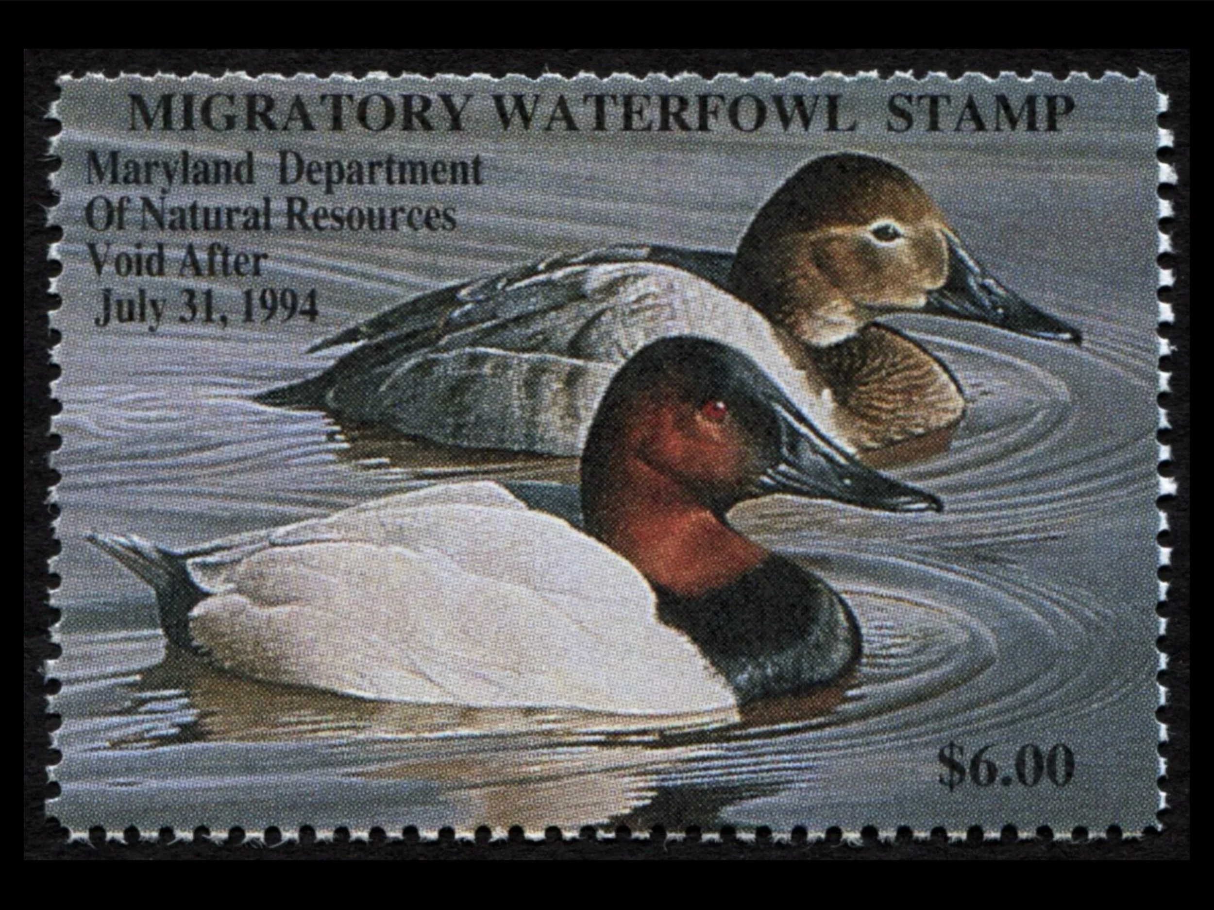 MD20 Maryland 1993 Canvasbacks Duck Stamp, MNH