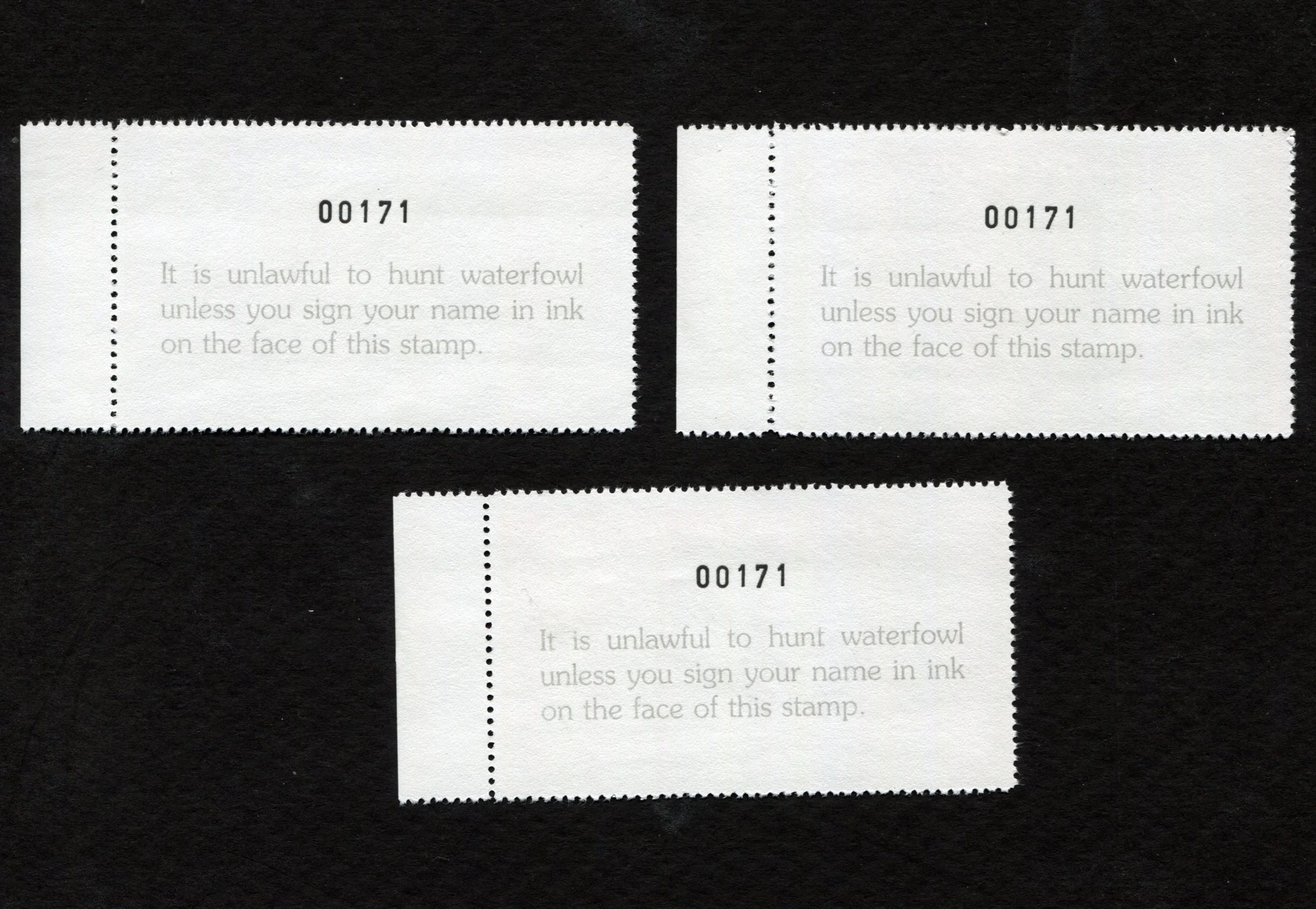 31966.jpg