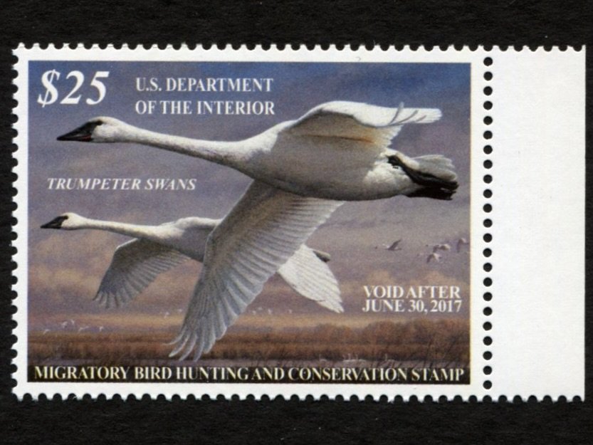 31979.jpg