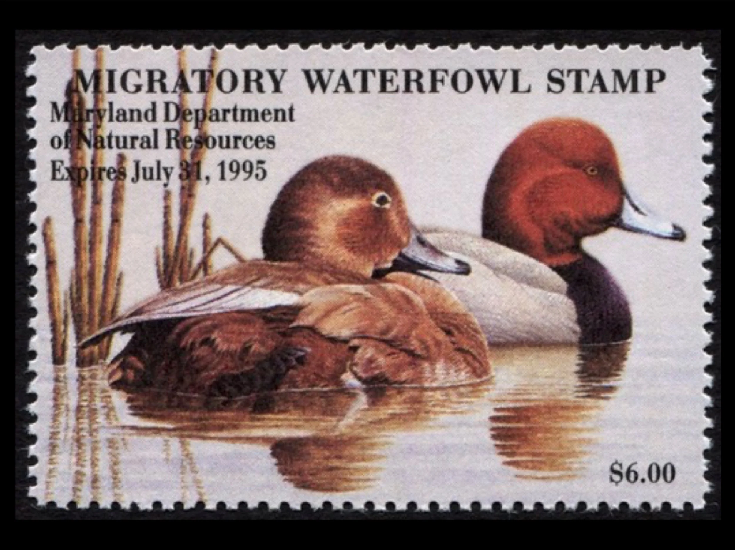 MD21 Maryland 1994 Readheads Duck Stamp, MNH