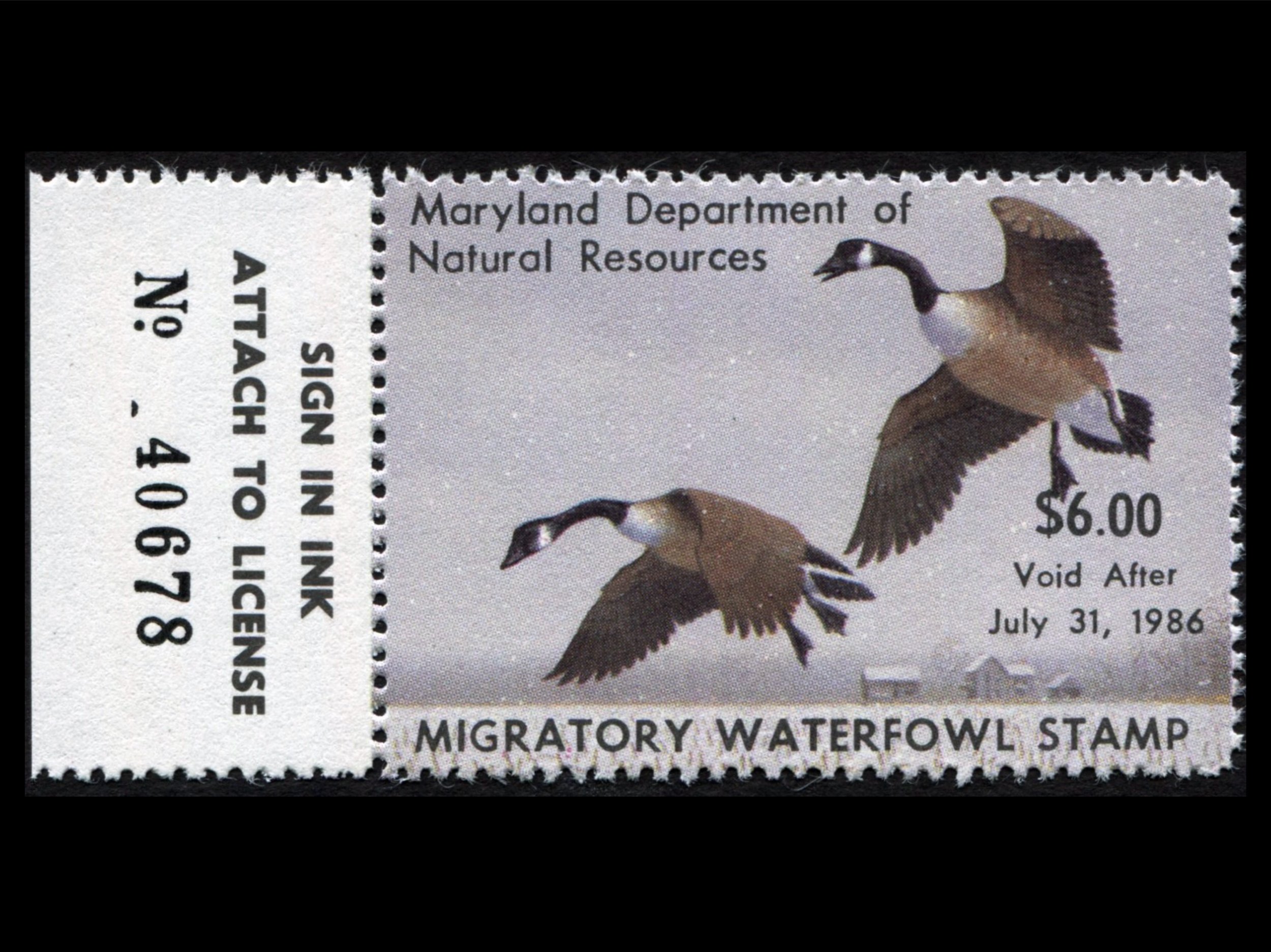 MD12 Maryland 1985 Canada Geese  Duck Stamp, MNH