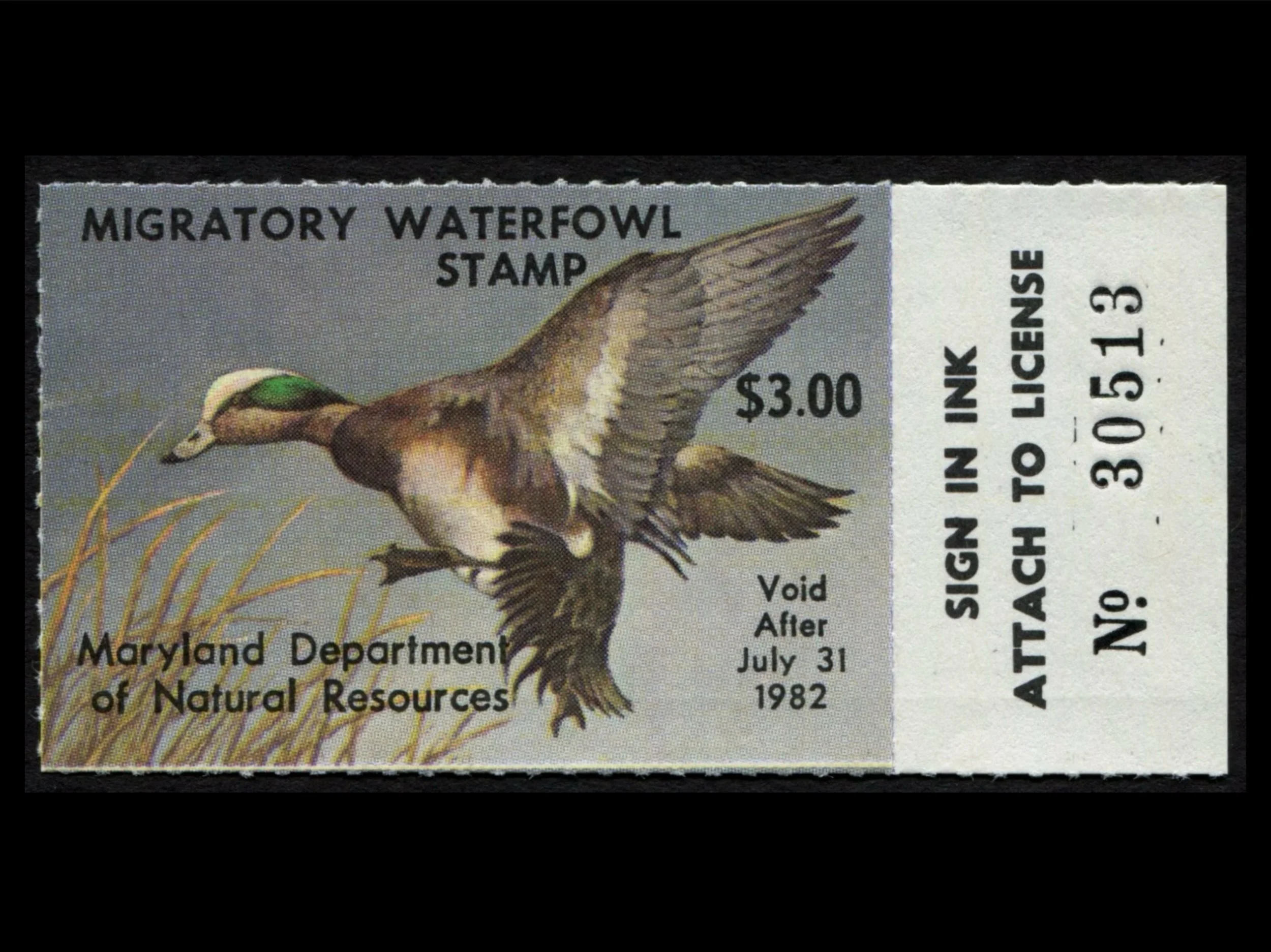 MD8 Maryland 1981 Wigeon Duck Stamp, MNH