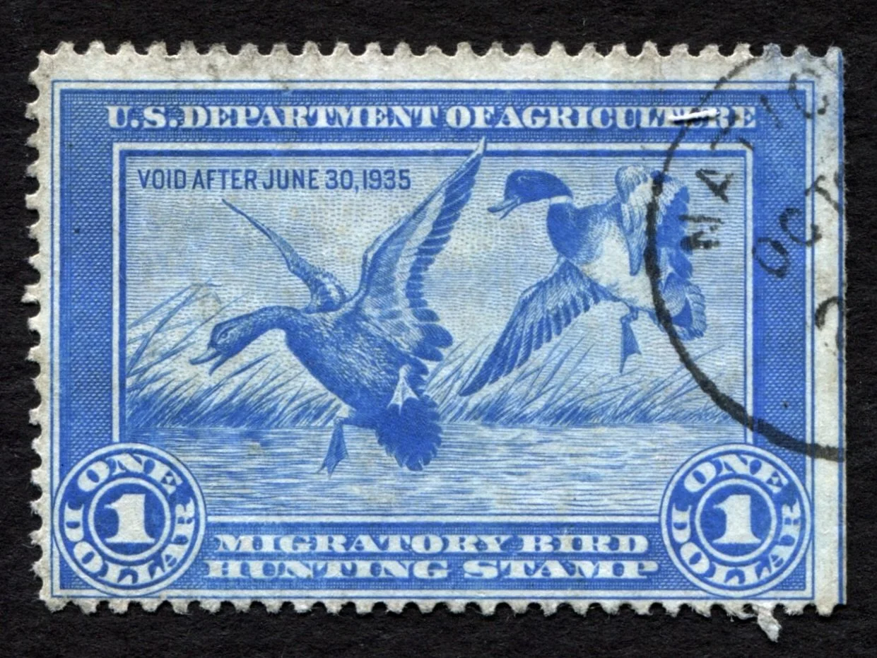 RW1 1934-35 Mallards, Used No Gum Avg SE Duck Stamp, Postal Cancel