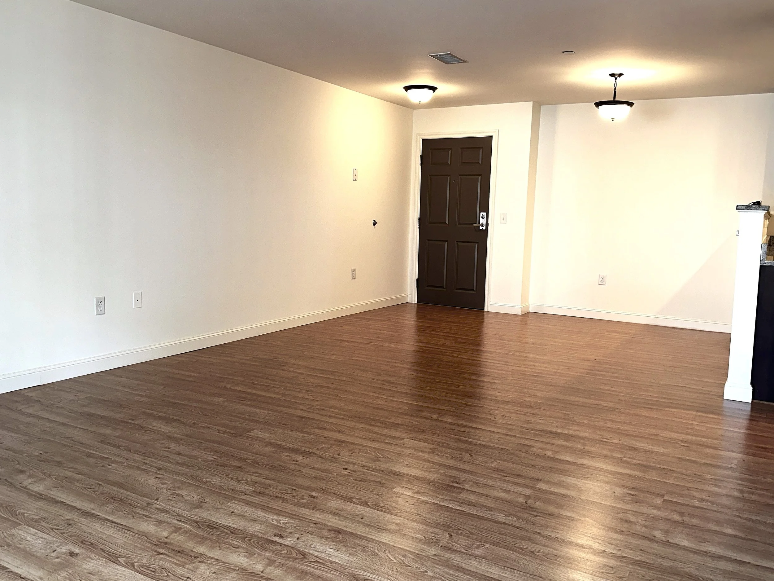 Dining room view from livingroom.jpg