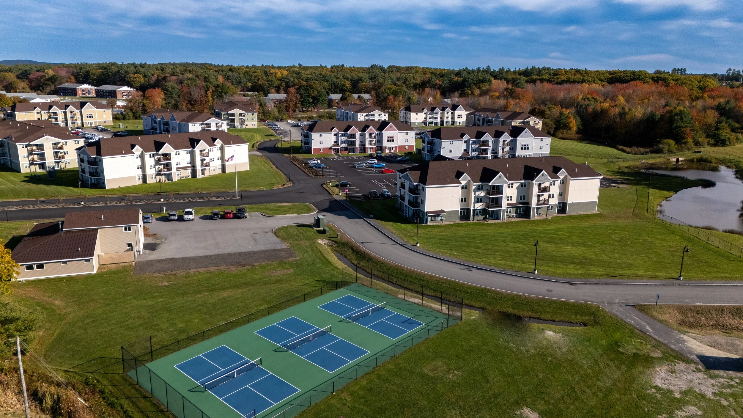 Overhead of Pickleball and LG.jpg