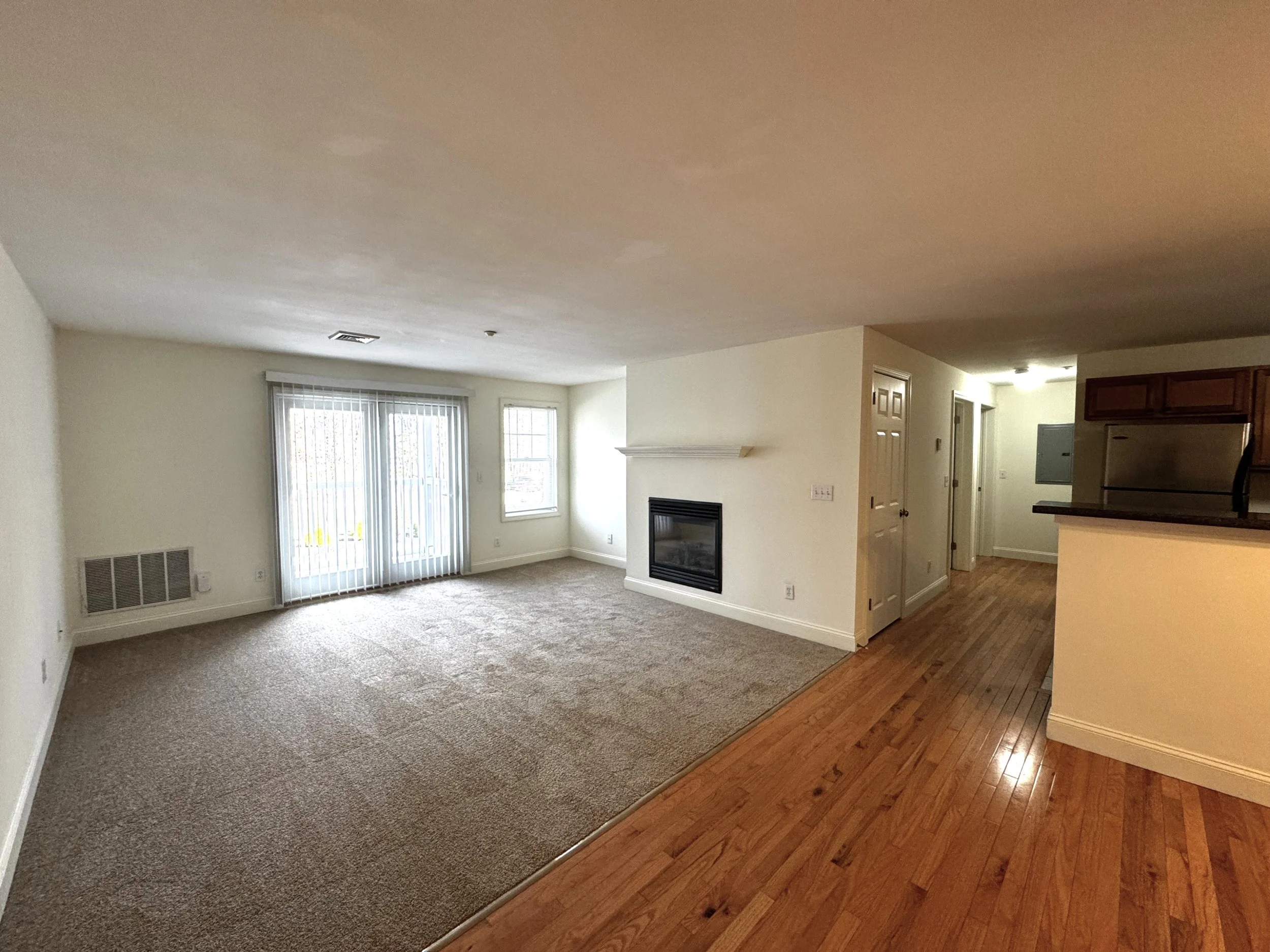 View of Fireplace LivingRoom.jpg