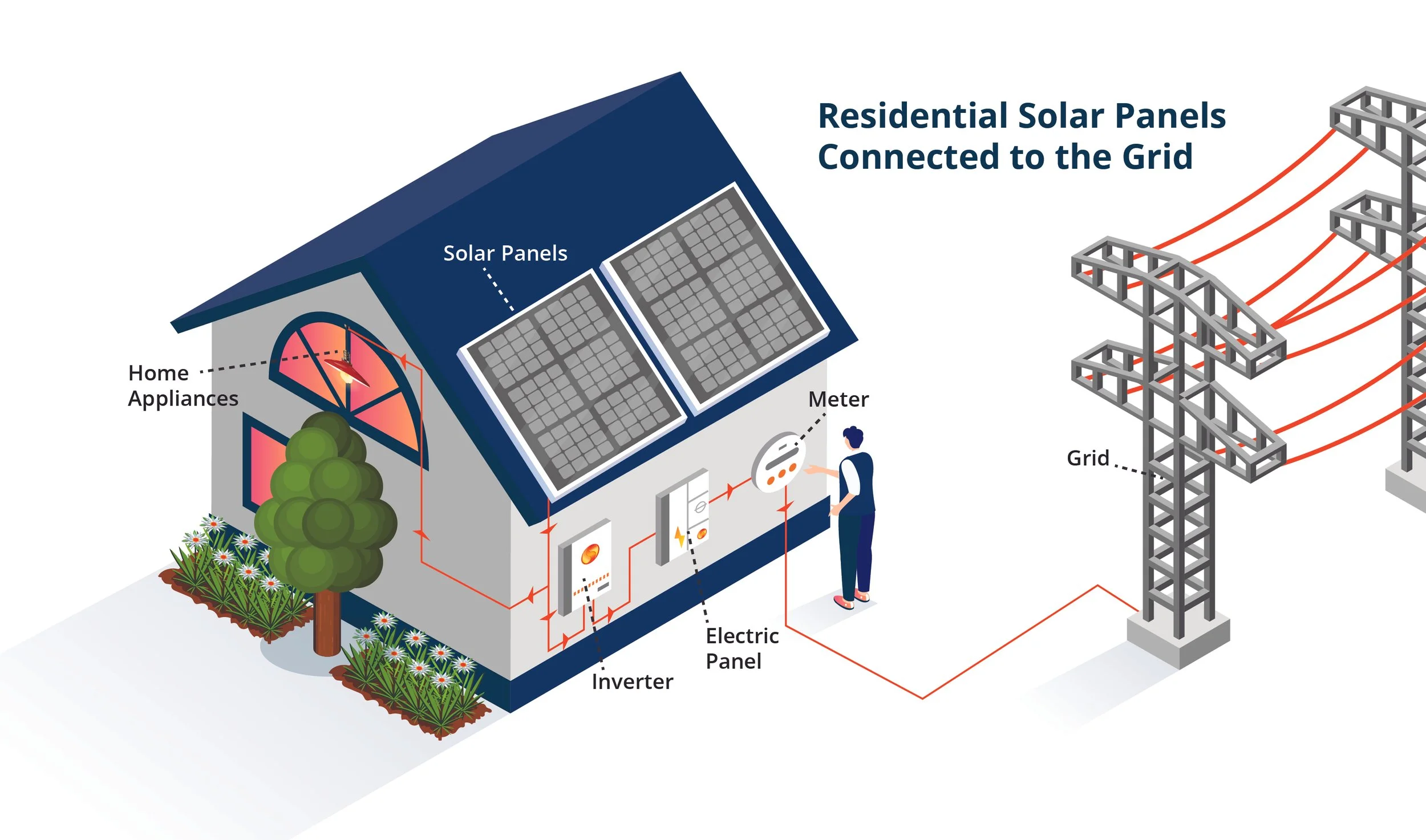 Solar Training Infographic