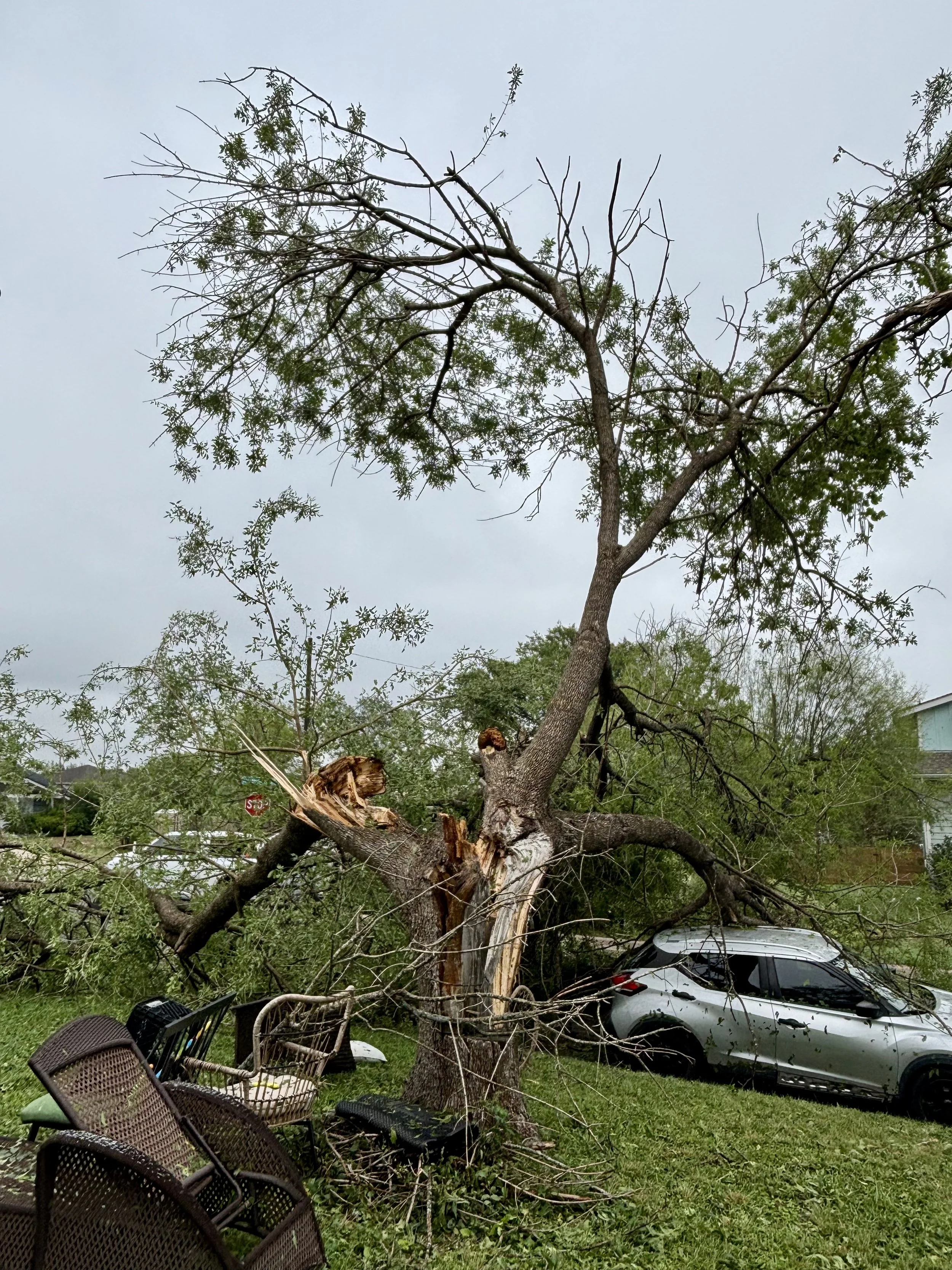 A large tree has fallen onto a silver car, causing damage. Debris and broken branches are scattered, with outdoor chairs nearby.