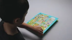 Safehaven: One in 100 Book