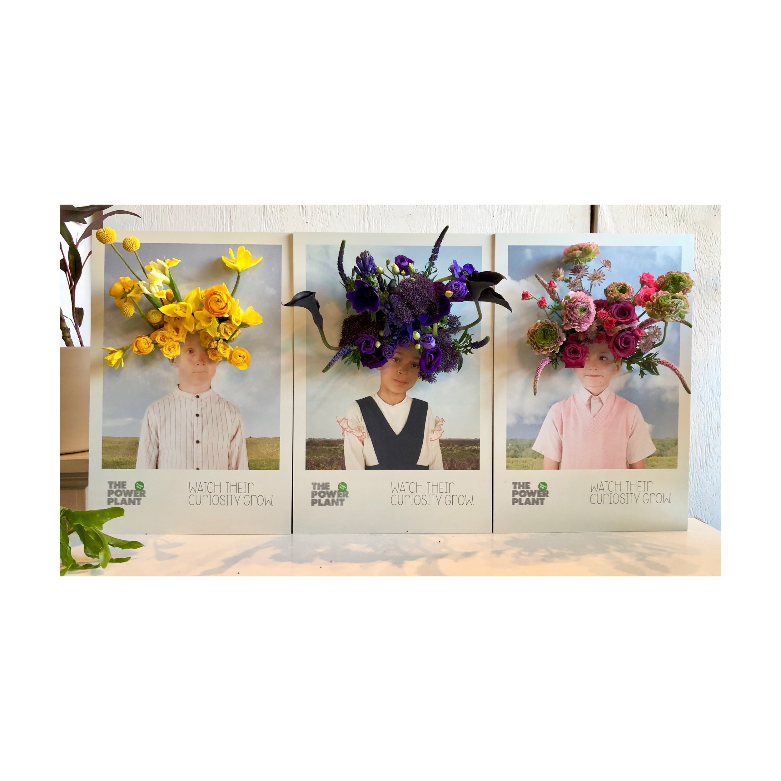 tempImageForSave 3.JPG