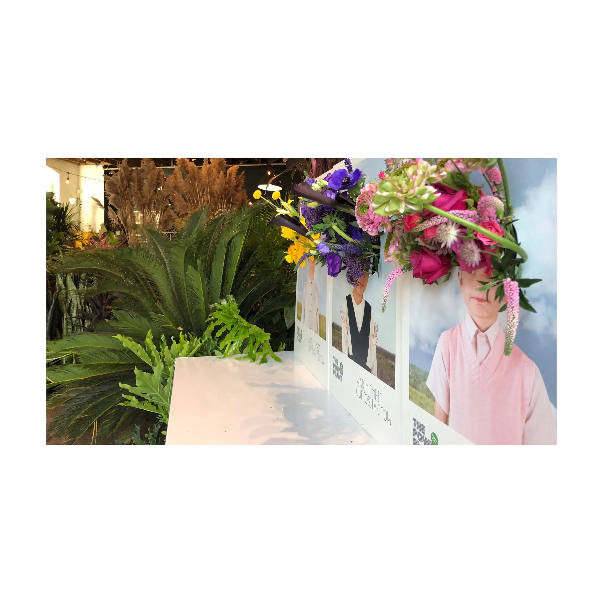 tempImageForSave 2.JPG