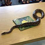 A snake on a table next to a book with a blue cover.