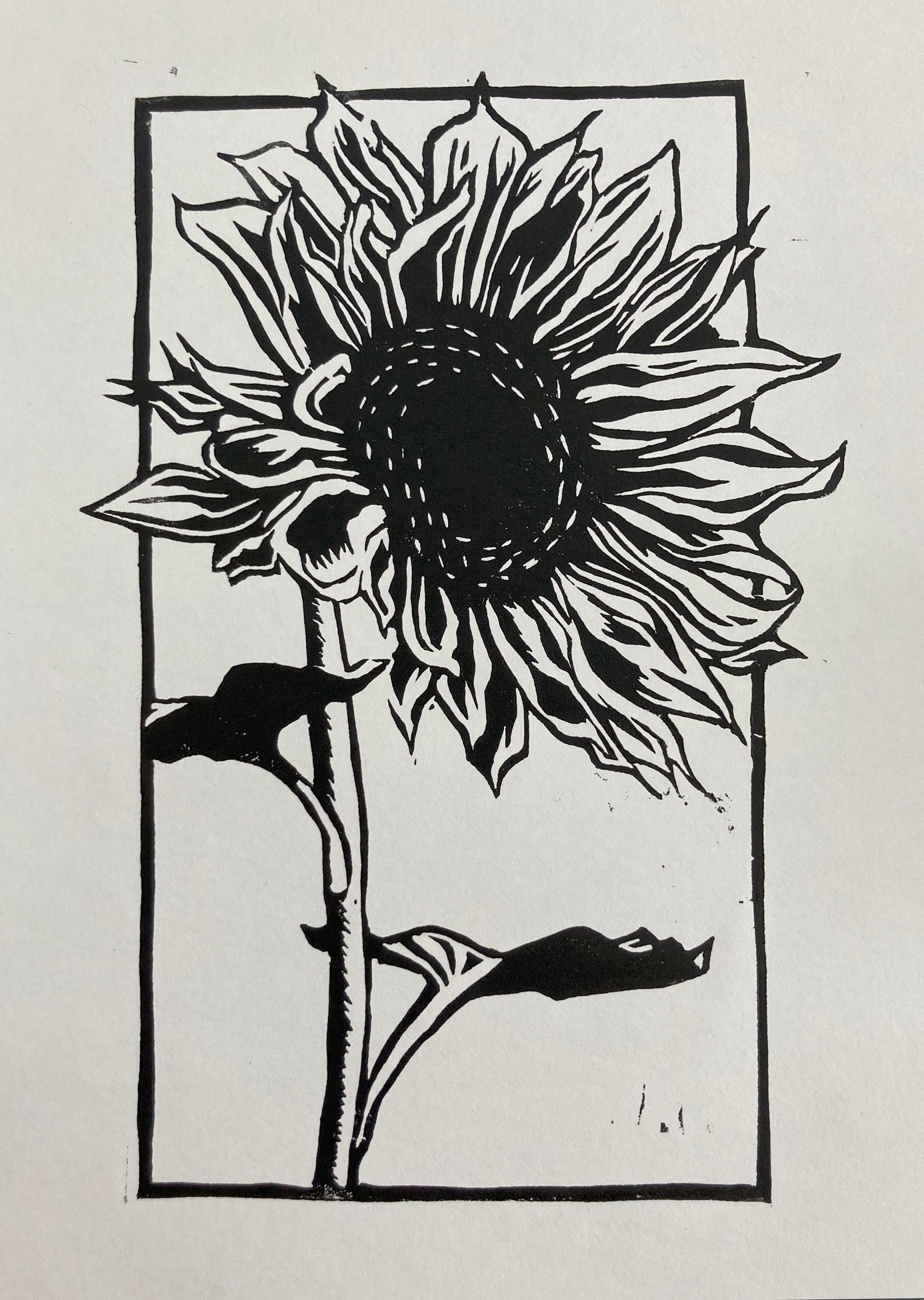 https://i.etsystatic.com/43907547/r/il/d6410c/4954612204/il_fullxfull.4954612204_otbp.jpg