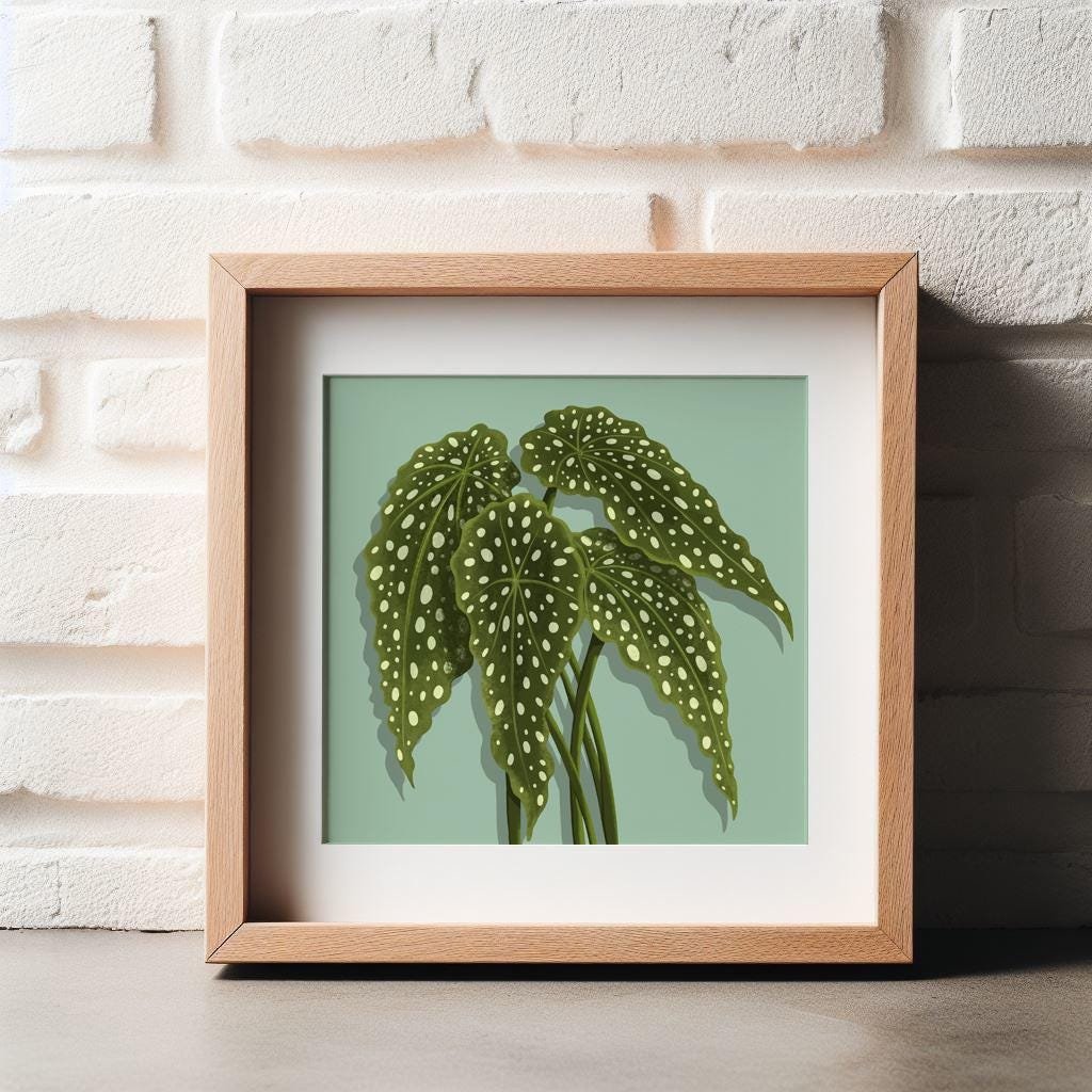 https://i.etsystatic.com/43907547/r/il/14f1da/6831685666/il_fullxfull.6831685666_psts.jpg