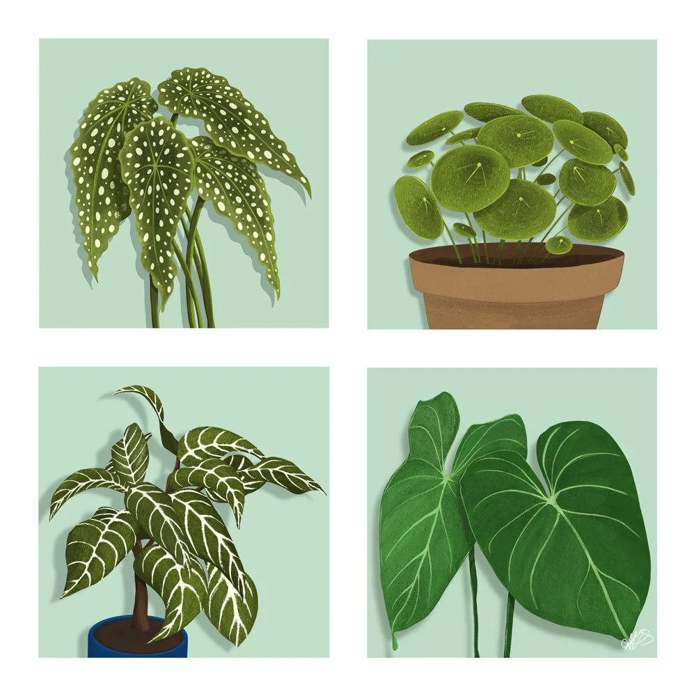 4-x-4-grid-of-houseplants-1.jpg