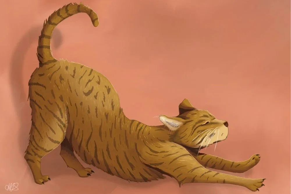 AlisonSanders_BigStretch_LowRes.jpg