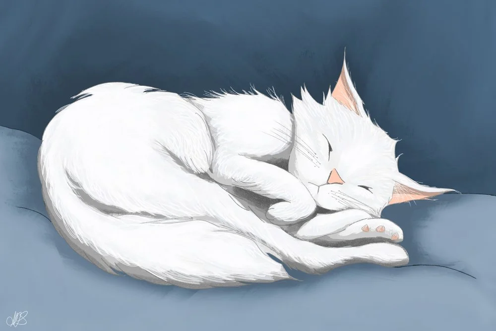 AlisonSanders_Sleeping_LowRes.jpg