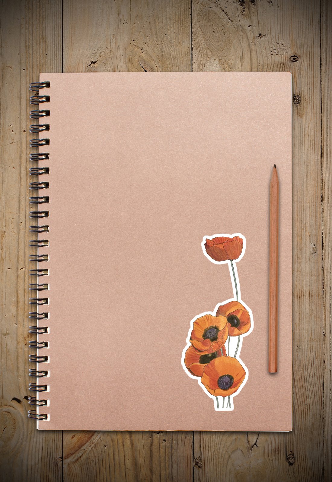A group of hand drawn California poppies as a sticker on a notebook