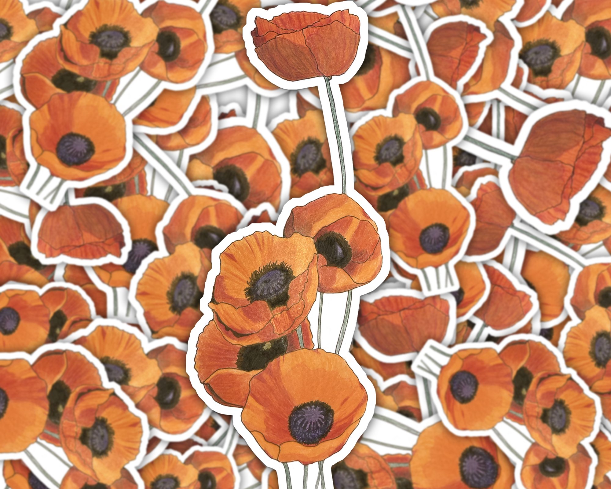 A group of hand drawn California poppies as a stickers