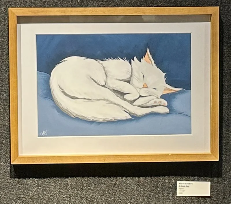 AlisonSanders_Sleeping_Framed.jpg