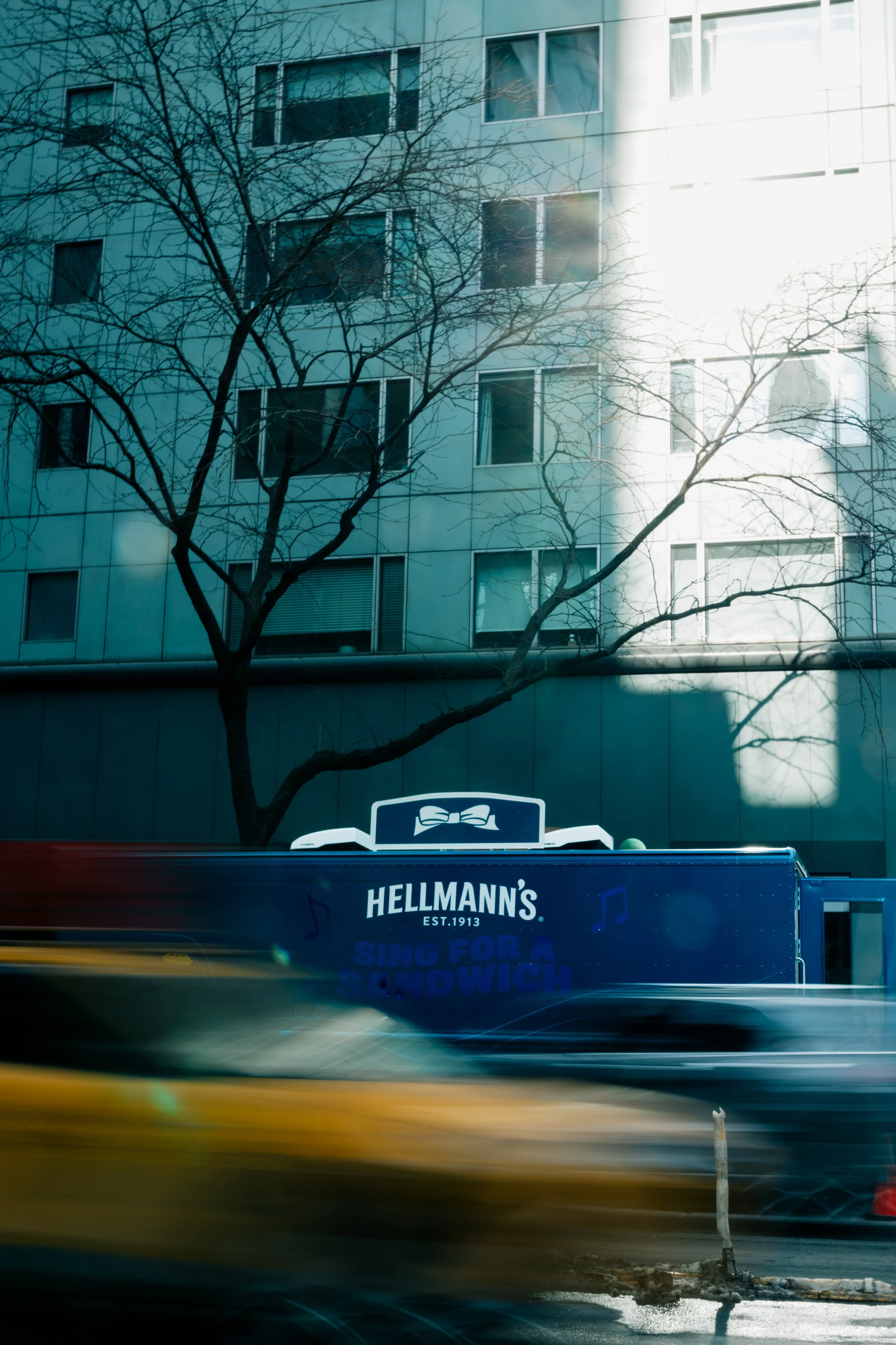 HellmannsMayoNYC@Panavid-115.jpg