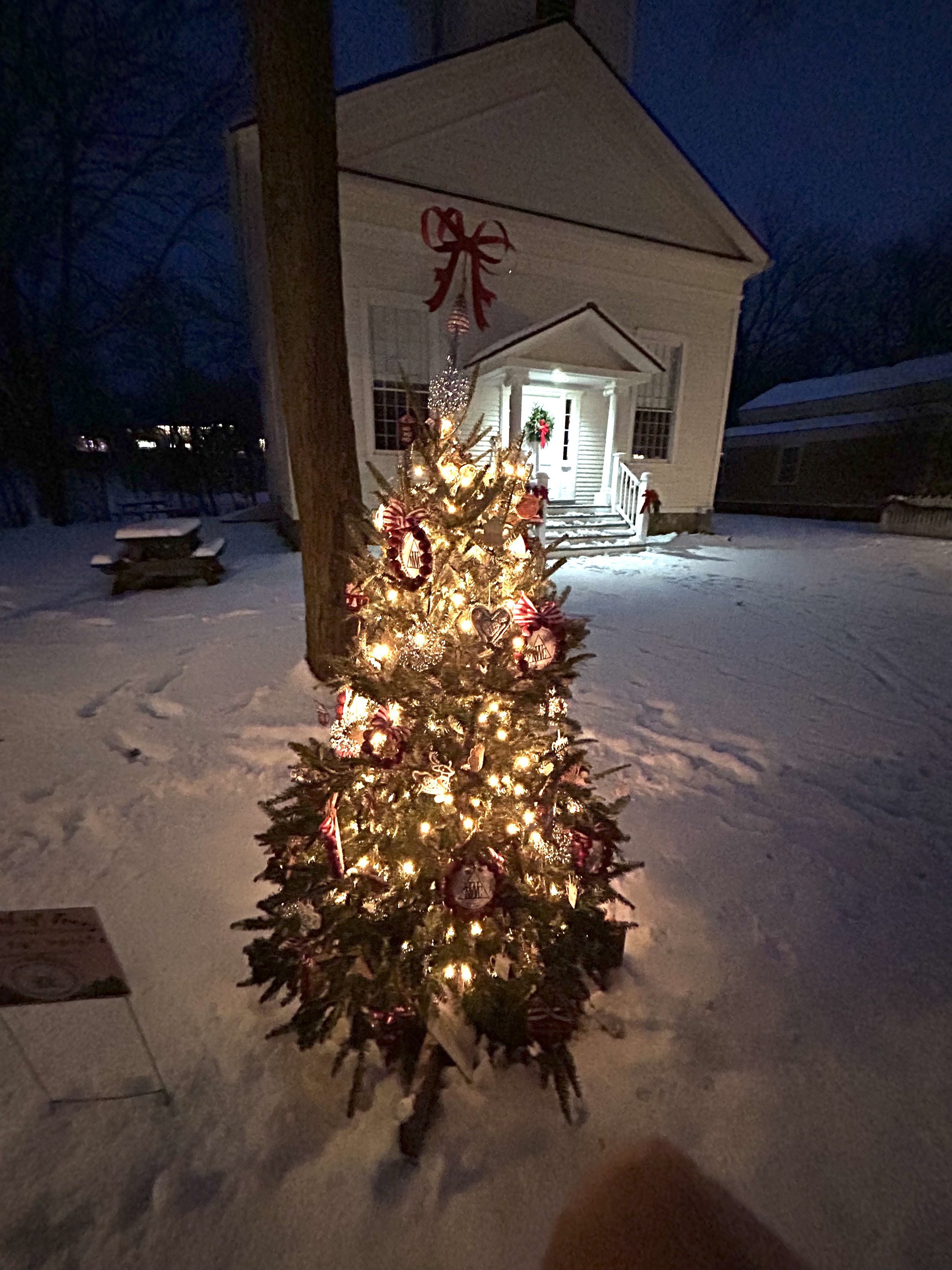 Our tree along the Mill Race path at night 2025